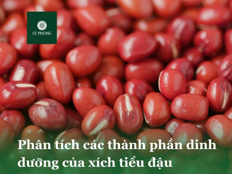 Phân tích các thành phần dinh dưỡng của xích tiểu đậu