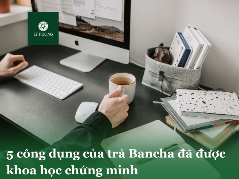 5 công dụng của trà Bancha đã được khoa học chứng minh
