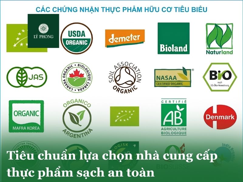 Các chứng nhận thực phẩm hữu cơ tiêu biểu hiện nay