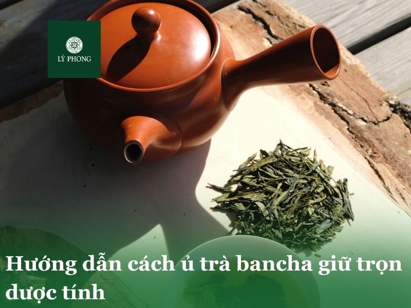 Cách ủ trà Bancha giữ trọn dược tính