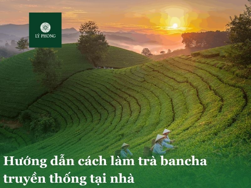 Hướng dẫn cách làm trà bancha truyền thống tại nhà