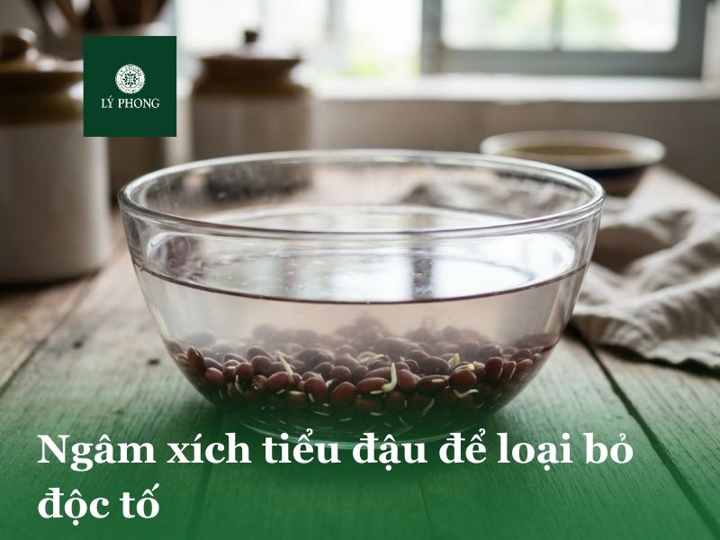 Ngâm xích tiểu đậu để loại bỏ độc tố