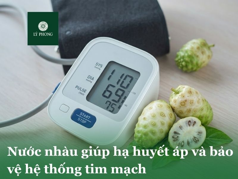 Nước nhàu giúp hạ huyết áp và bảo vệ hệ thống tim mạch