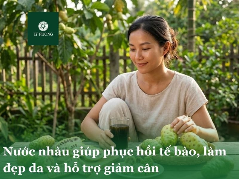 Nước nhàu giúp phục hồi tế bào, làm đẹp da và hỗ trợ giảm cân