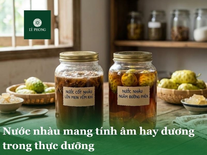 Nước trái nhàu mang tính âm hay dương?