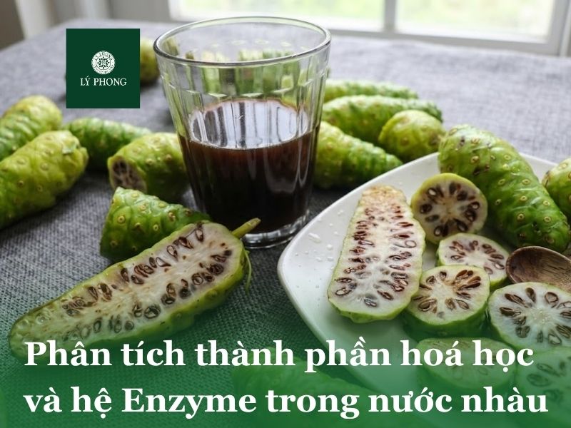 Phân tích thành phần hoá học và hệ Enzyme sinh học trong nước nhàu