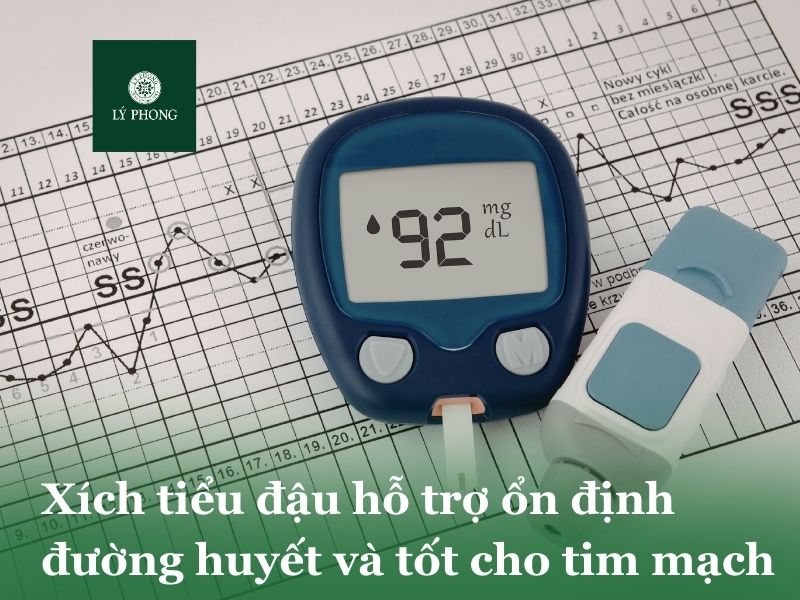 Xích tiểu đậu ổn định đường huyết và tốt cho tim mạch