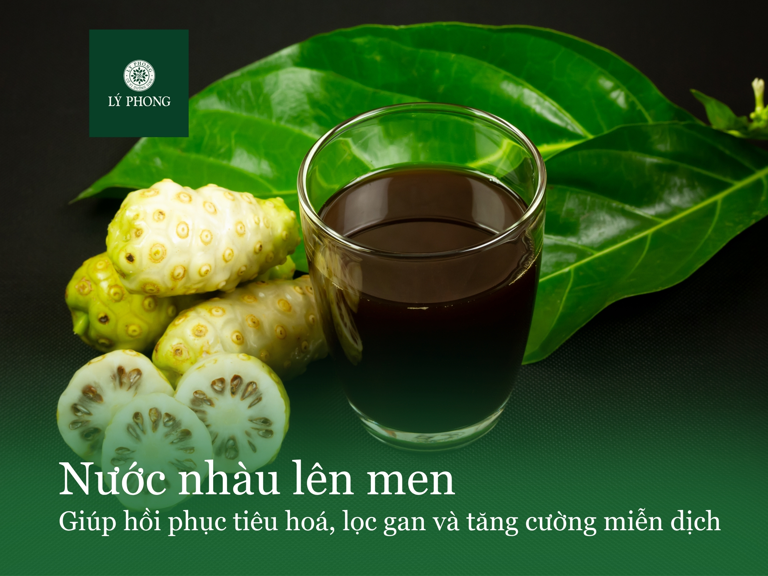 Nước nhàu lên men