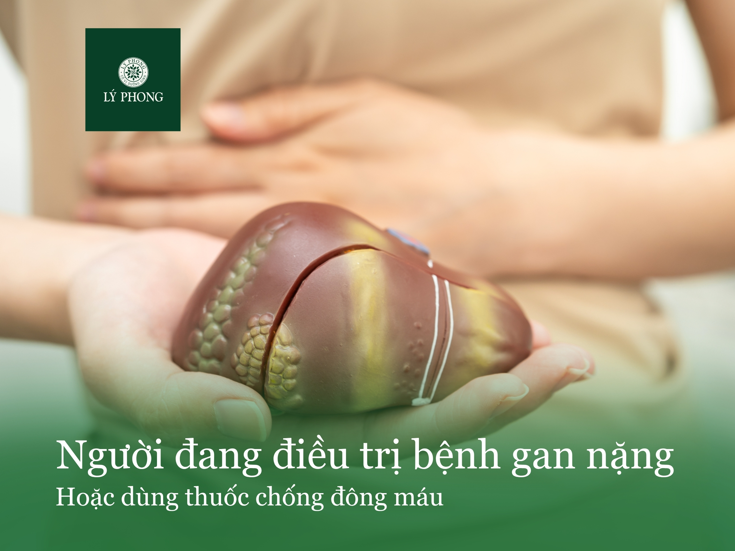 Người đang điều trị bệnh gan