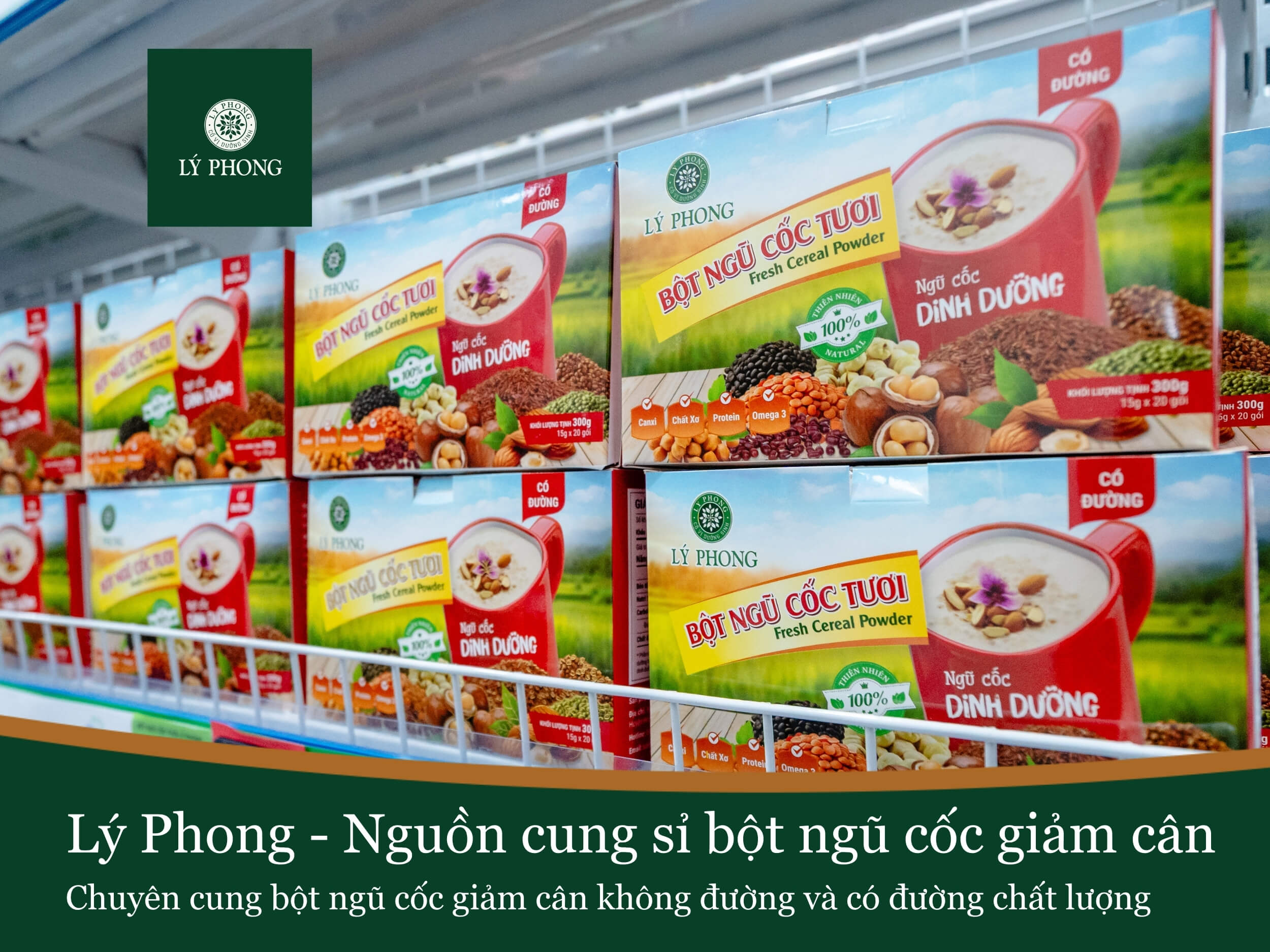 Lý Phong – Nguồn cung sỉ bột ngũ cốc giảm cân uy tín, chất lượng