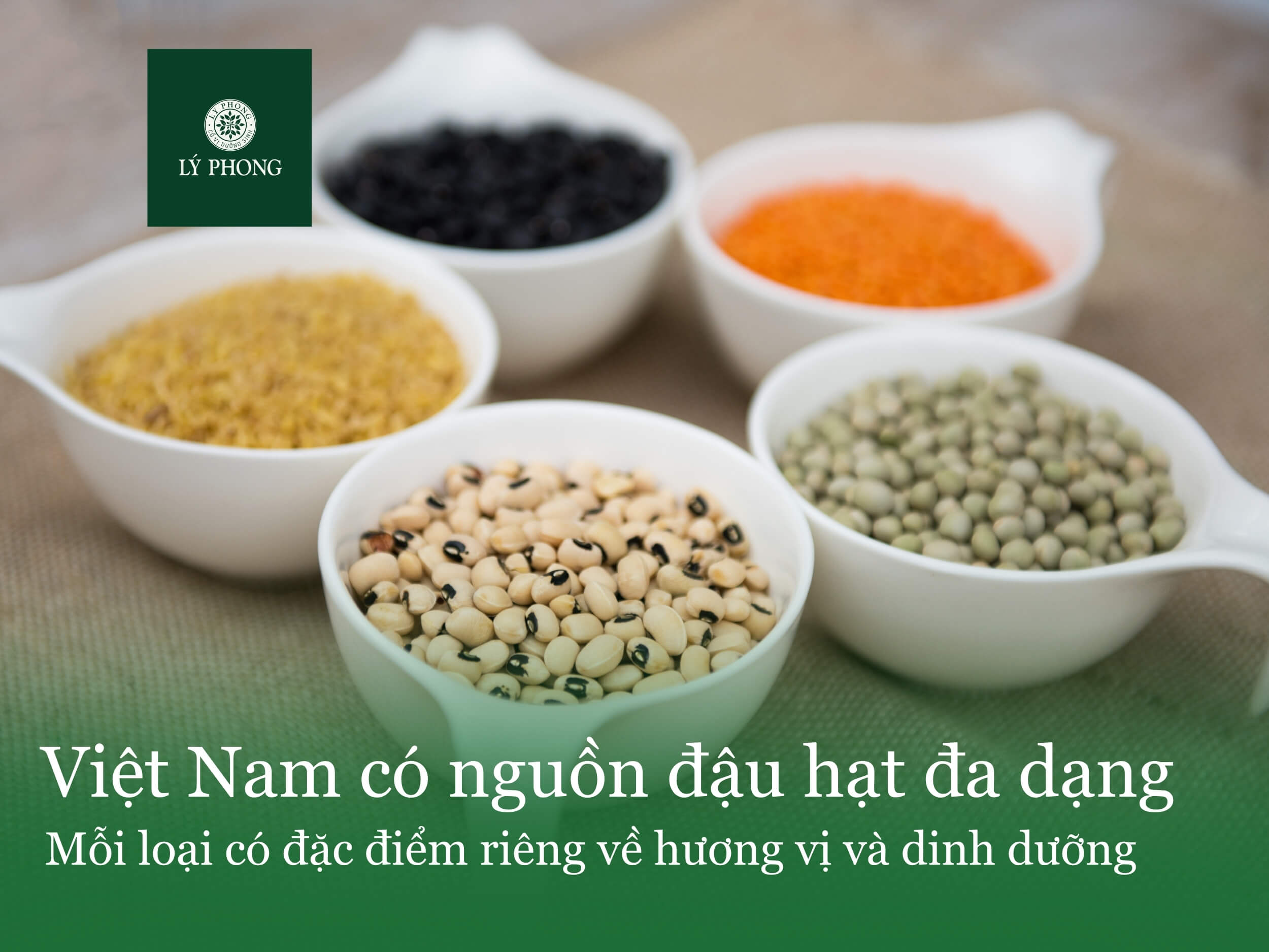 Các loại đậu phổ biến ở Việt Nam