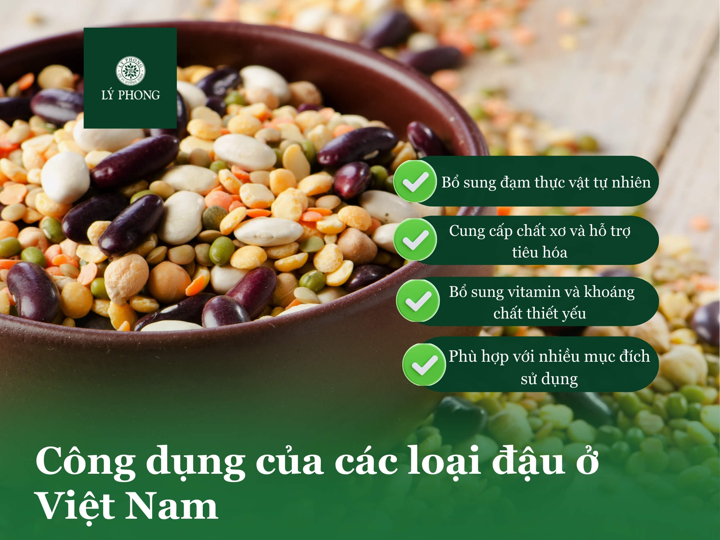 Công dụng của các loại đậu ở Việt Nam