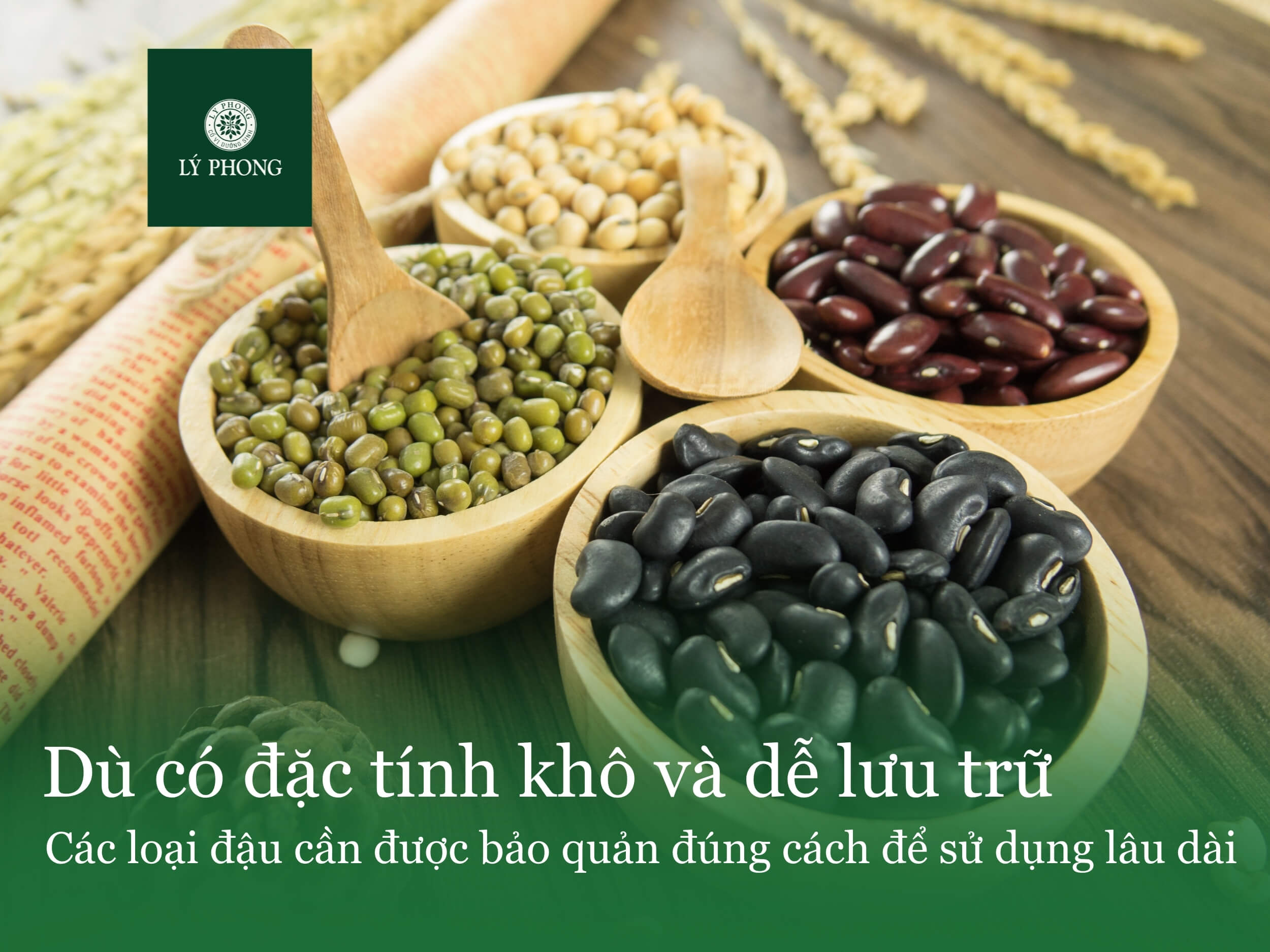 Cách bảo quản các loại đậu ở Việt Nam