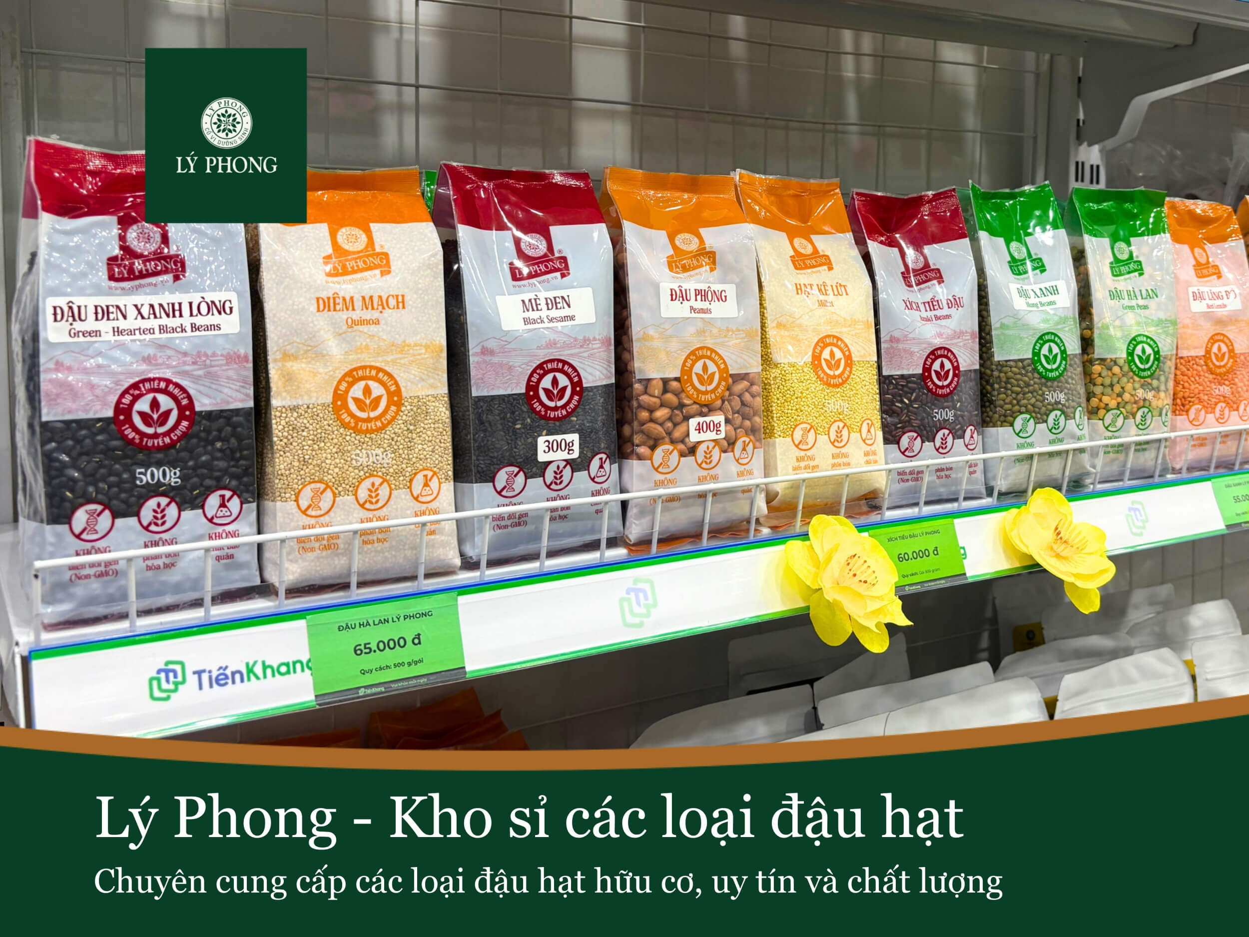 Lý Phong - Kho sỉ cung cấp các loại đậu hạt dinh dưỡng