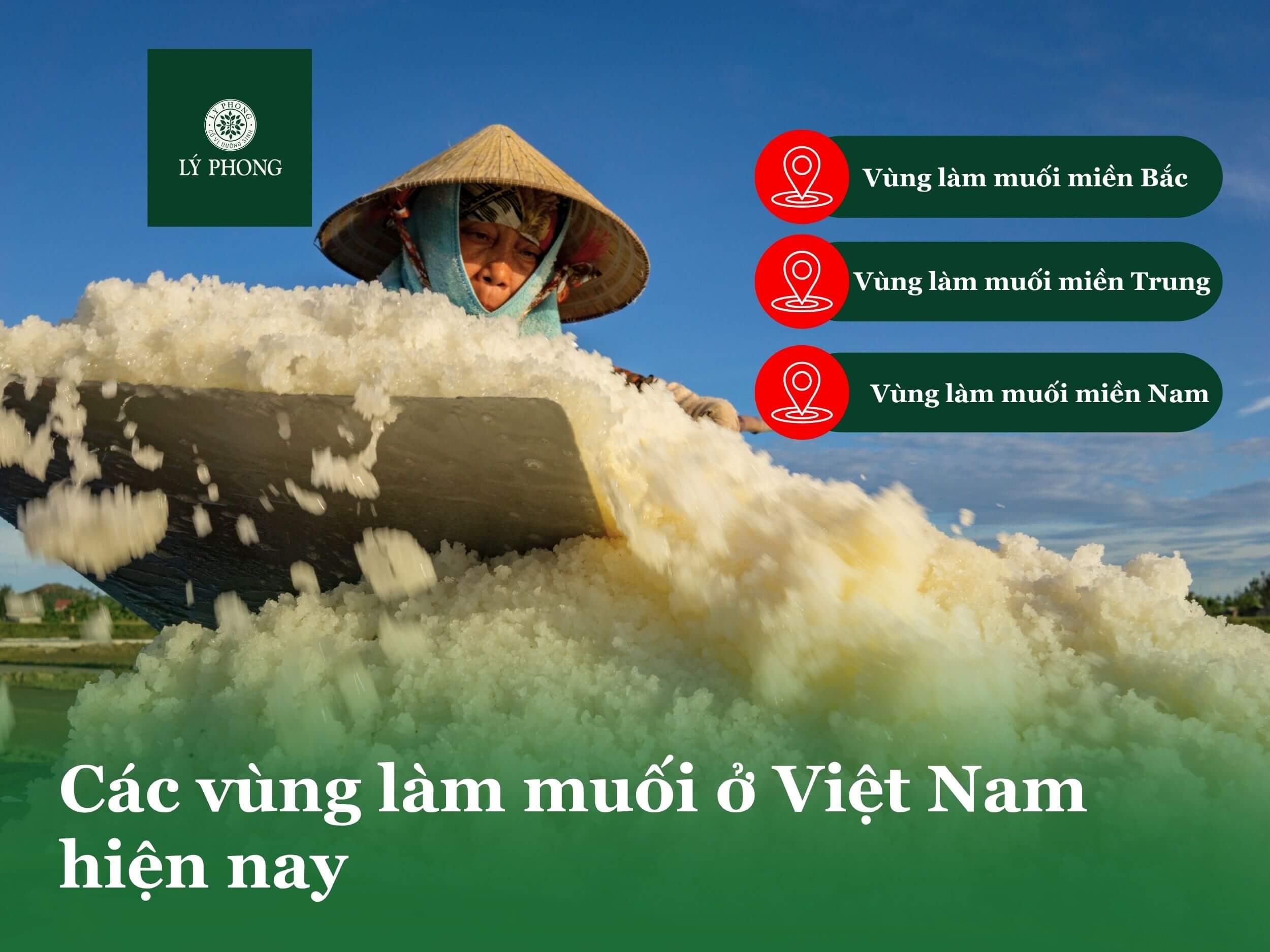 Các vùng làm muối ở Việt Nam hiện nay