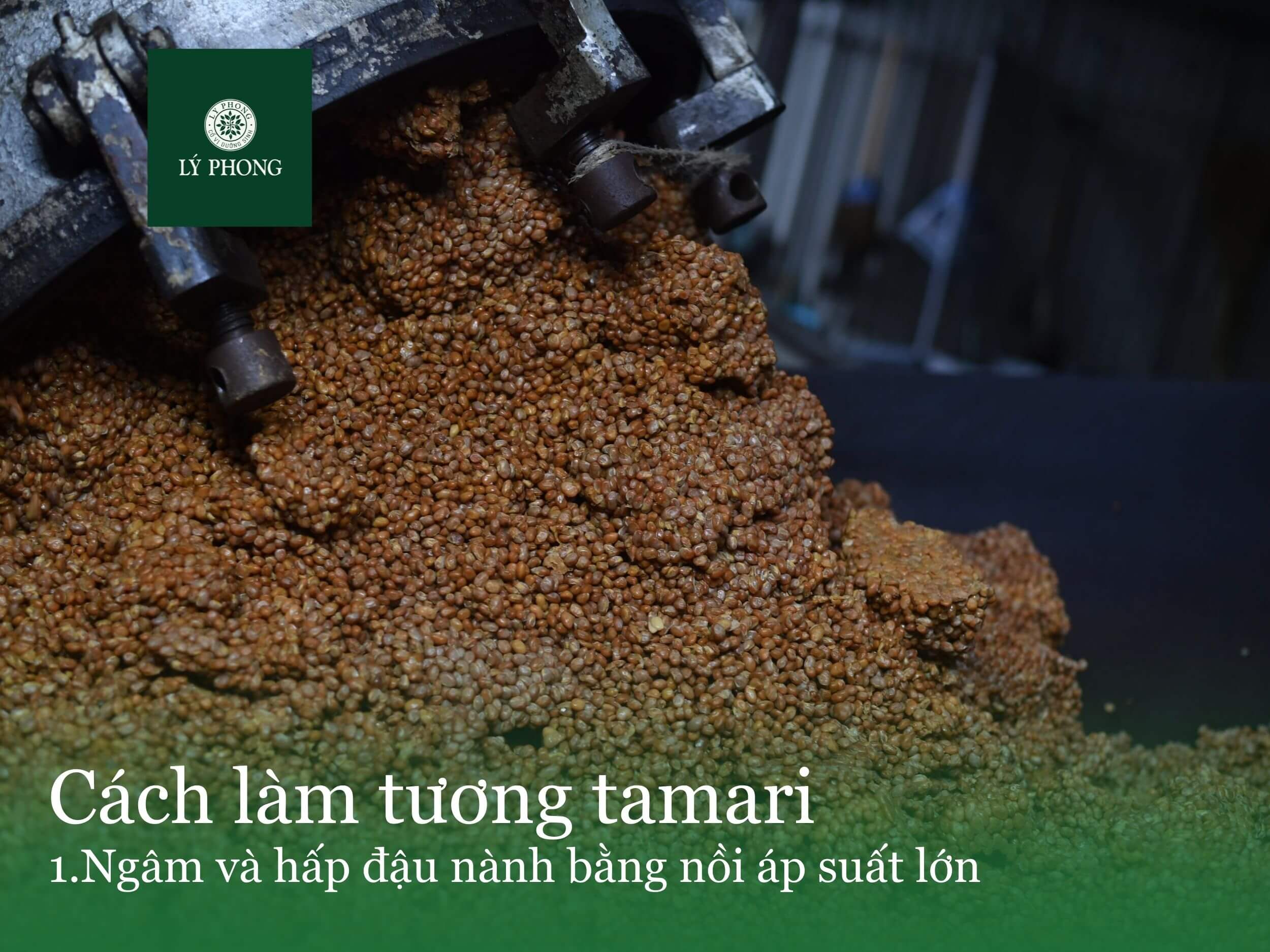 Cách làm tương tamari theo phương pháp truyền thống Nhật Bản -1