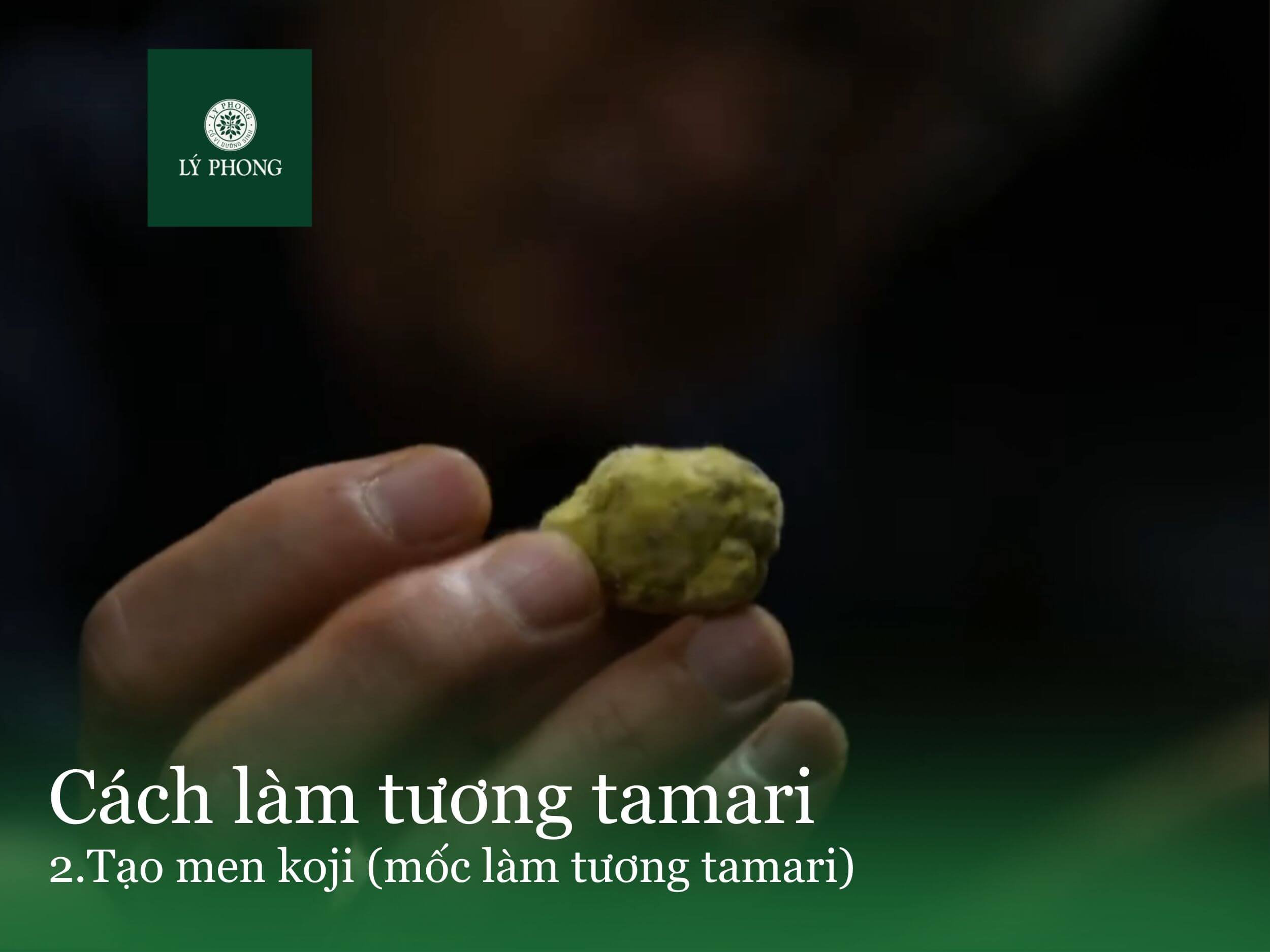 Cách làm tương tamari theo phương pháp truyền thống Nhật Bản -2