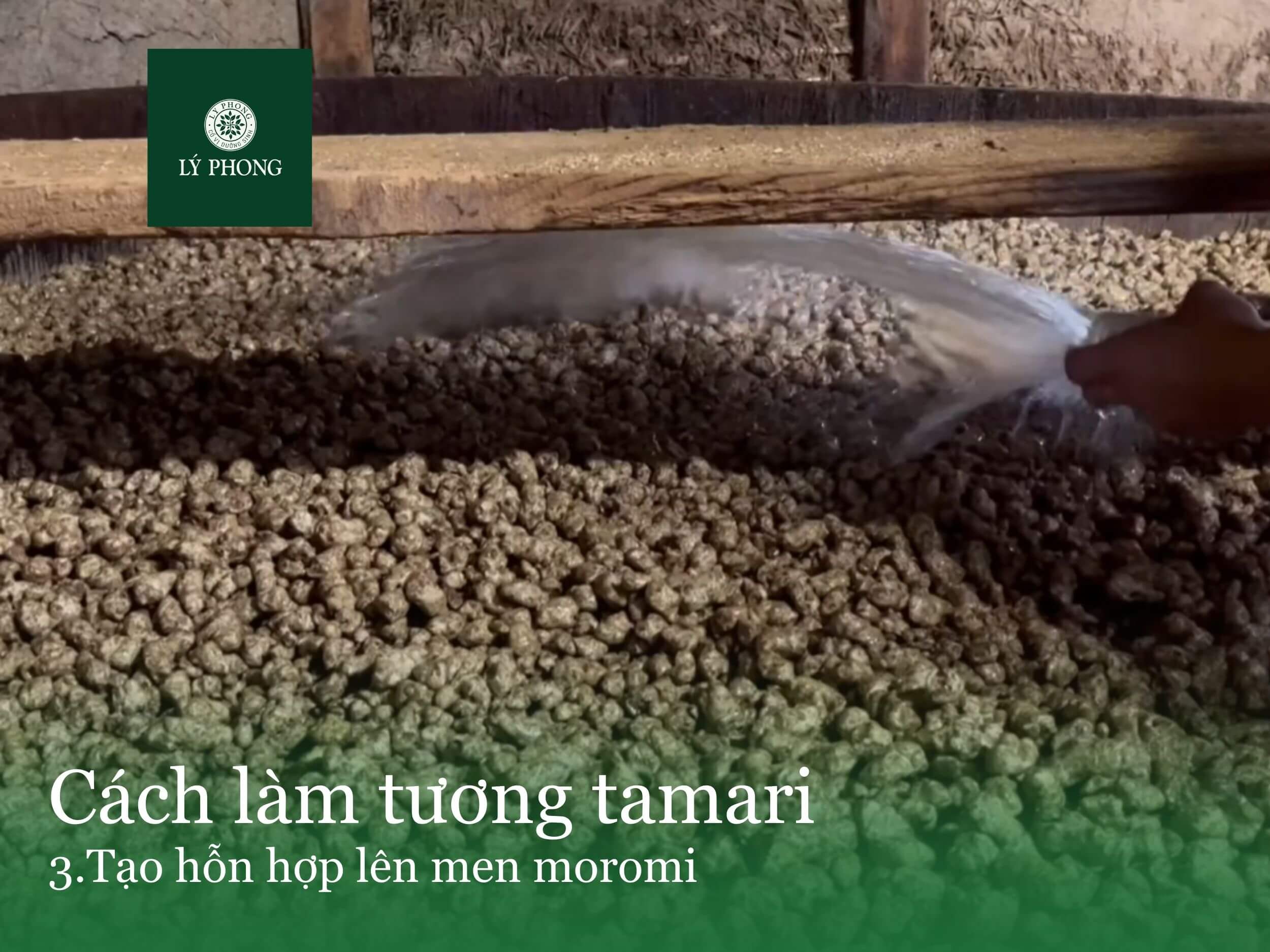 Cách làm tương tamari theo phương pháp truyền thống Nhật Bản -3