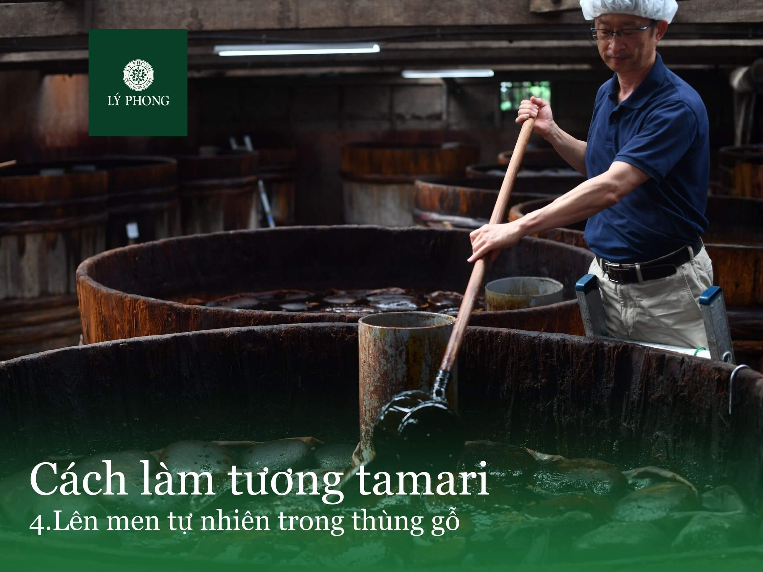 Cách làm tương tamari theo phương pháp truyền thống Nhật Bản -4