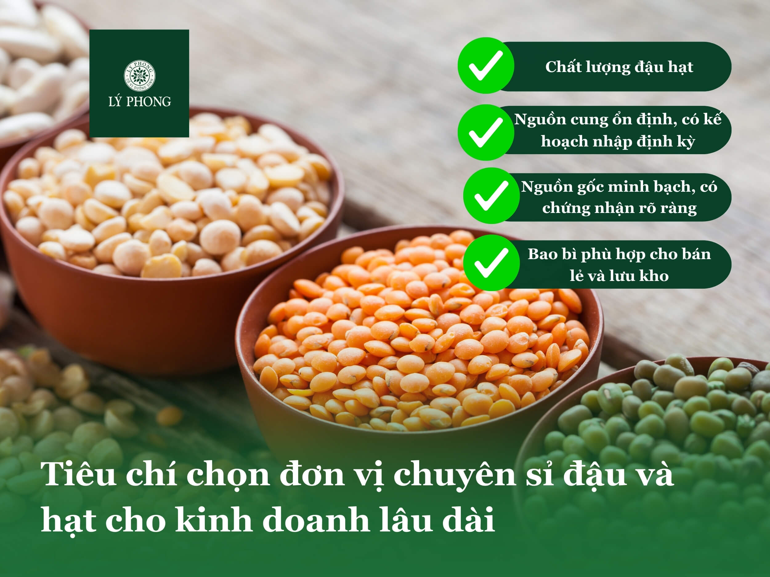 Tiêu chí chọn đơn vị chuyên sỉ đậu và hạt cho kinh doanh lâu dài