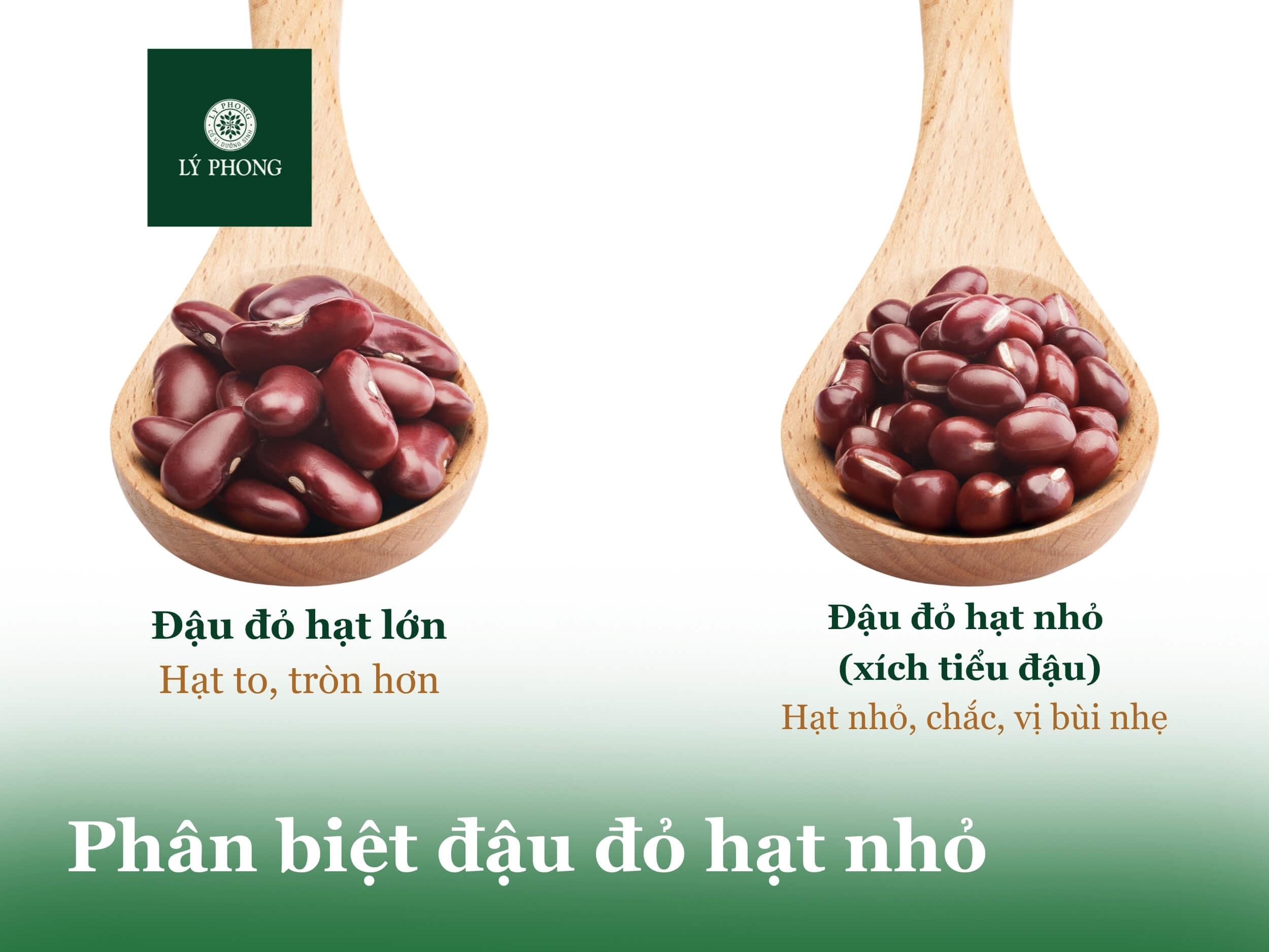 Phân biệt các loại đậu đỏ