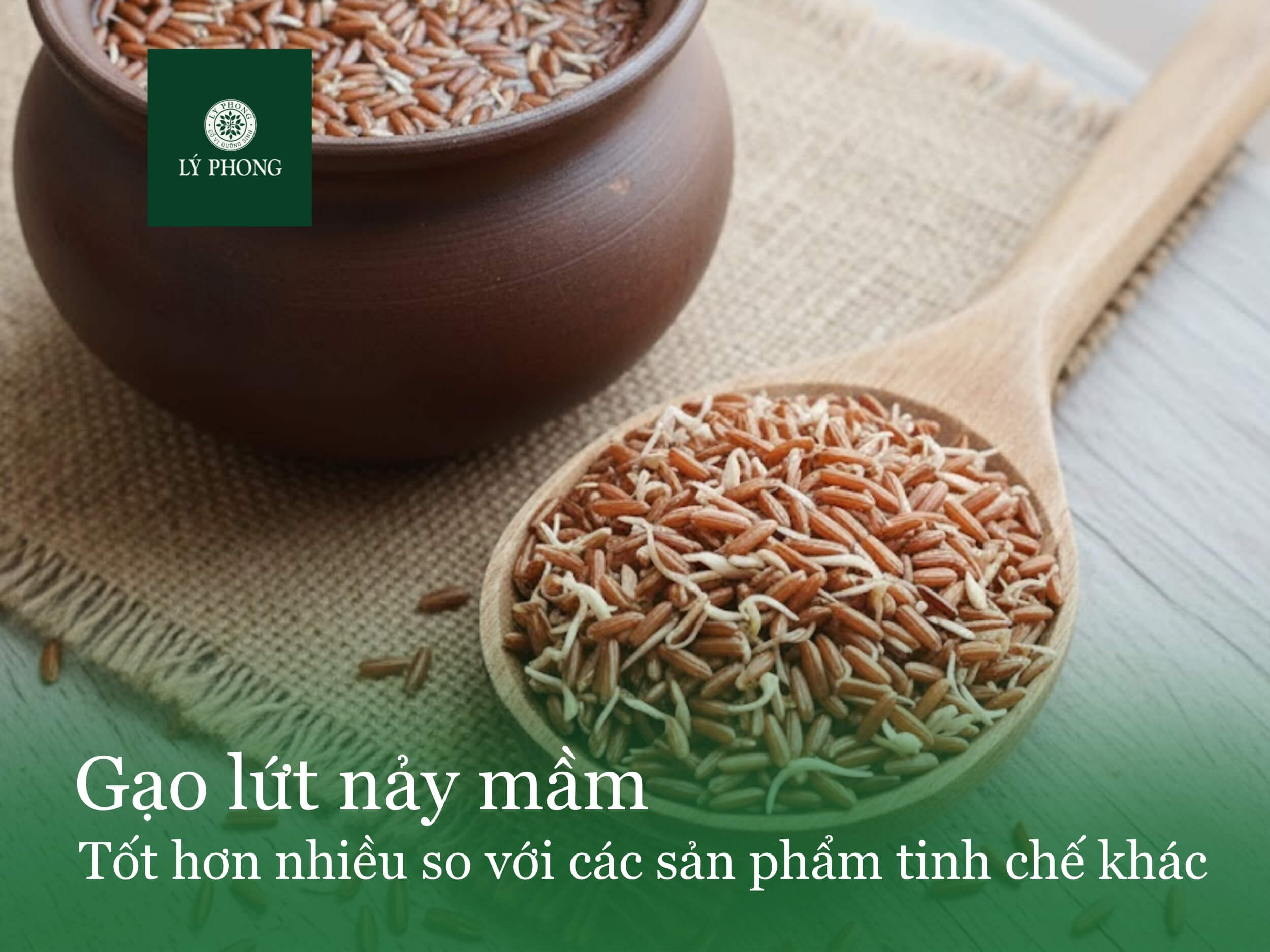 Gạo lứt nảy mầm tốt hơn nhiều so với các sản phẩm tinh chế khác