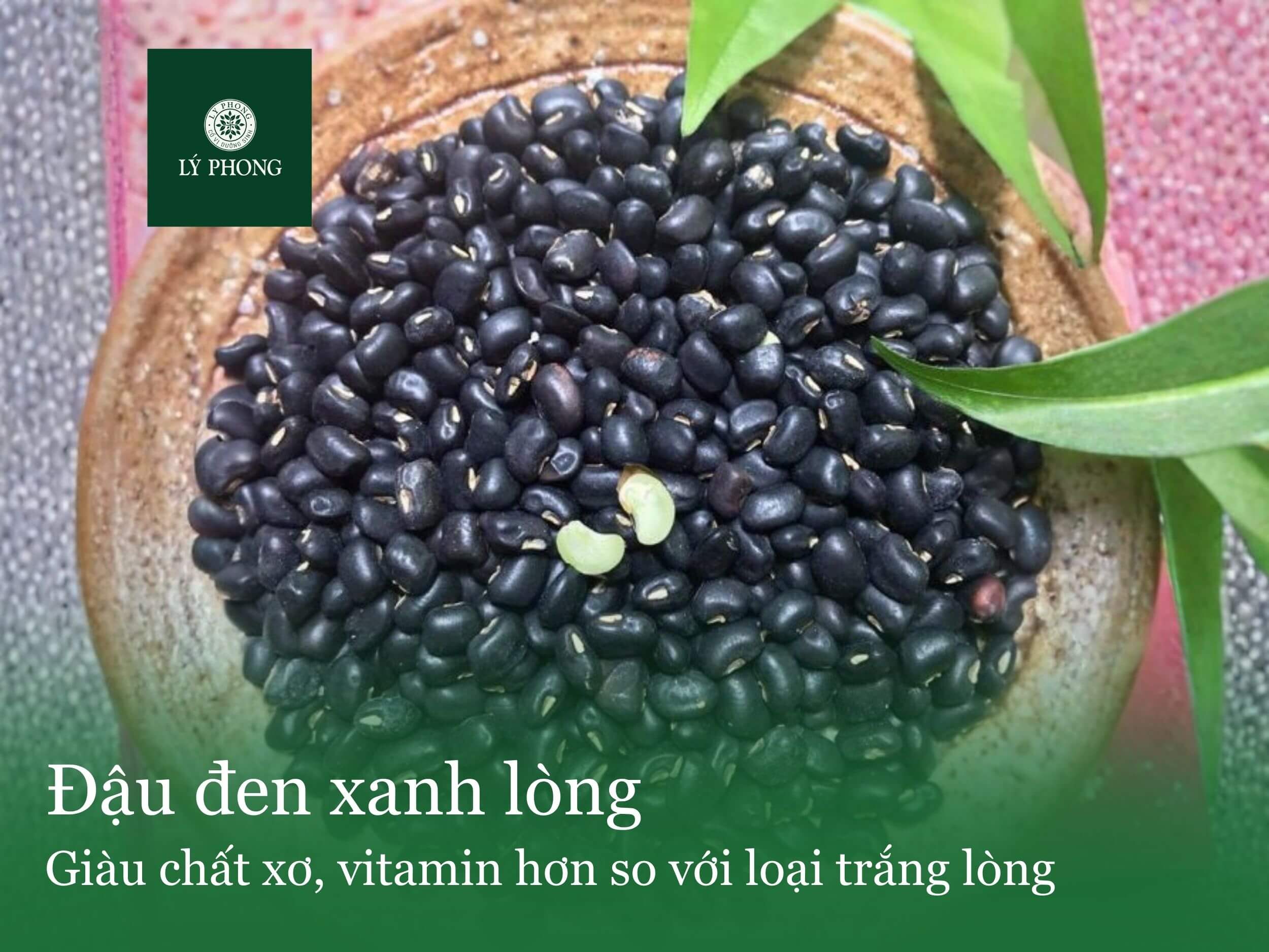  Đặc điểm hạt