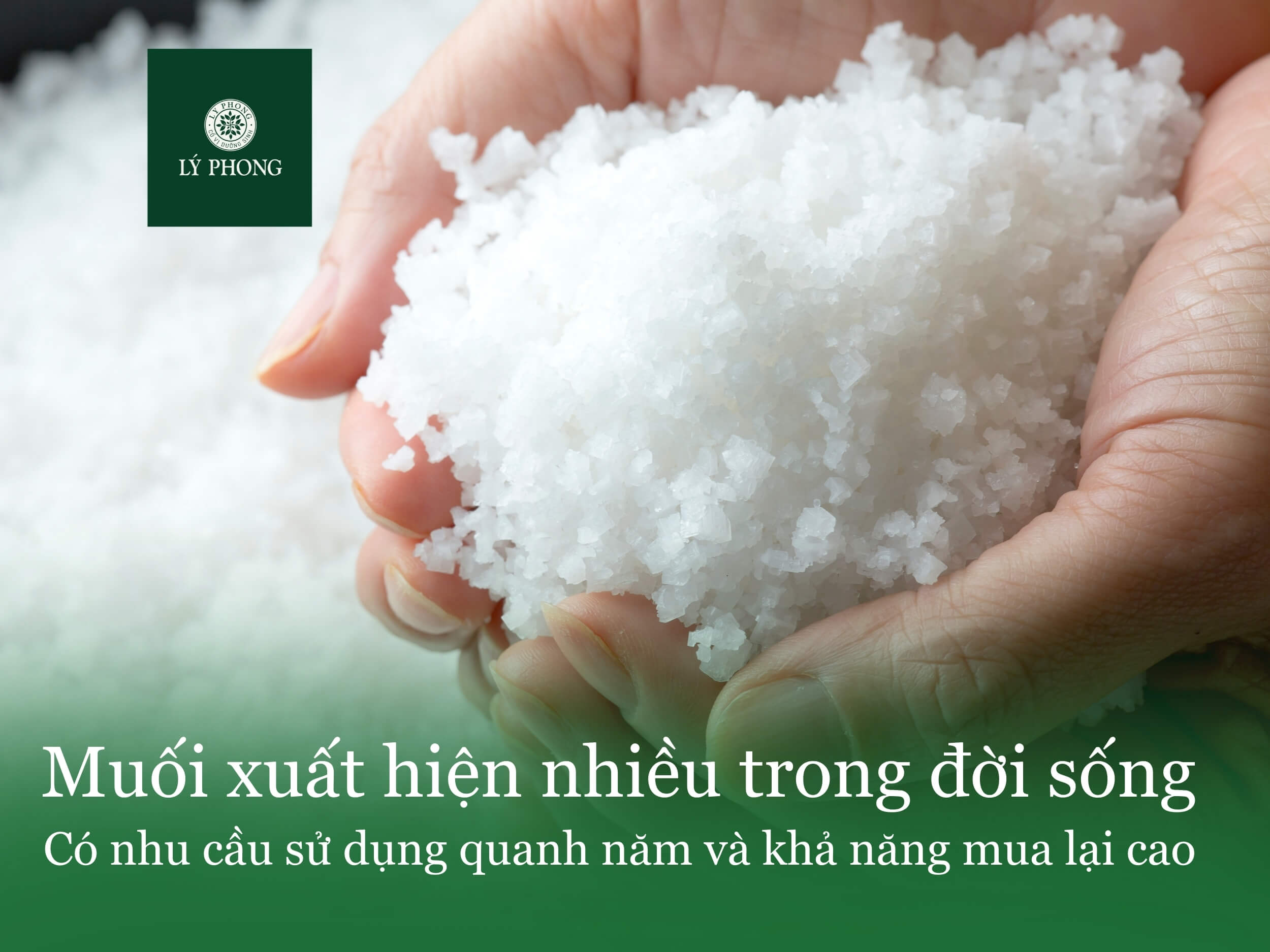 Vì sao nhu cầu lấy muối sỉ ngày càng tăng?