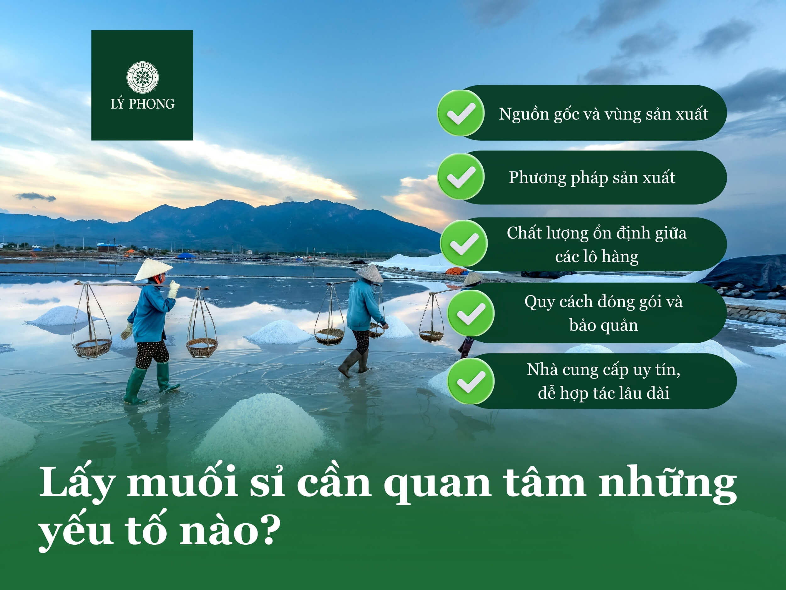 Lấy muối sỉ cần quan tâm những yếu tố nào?