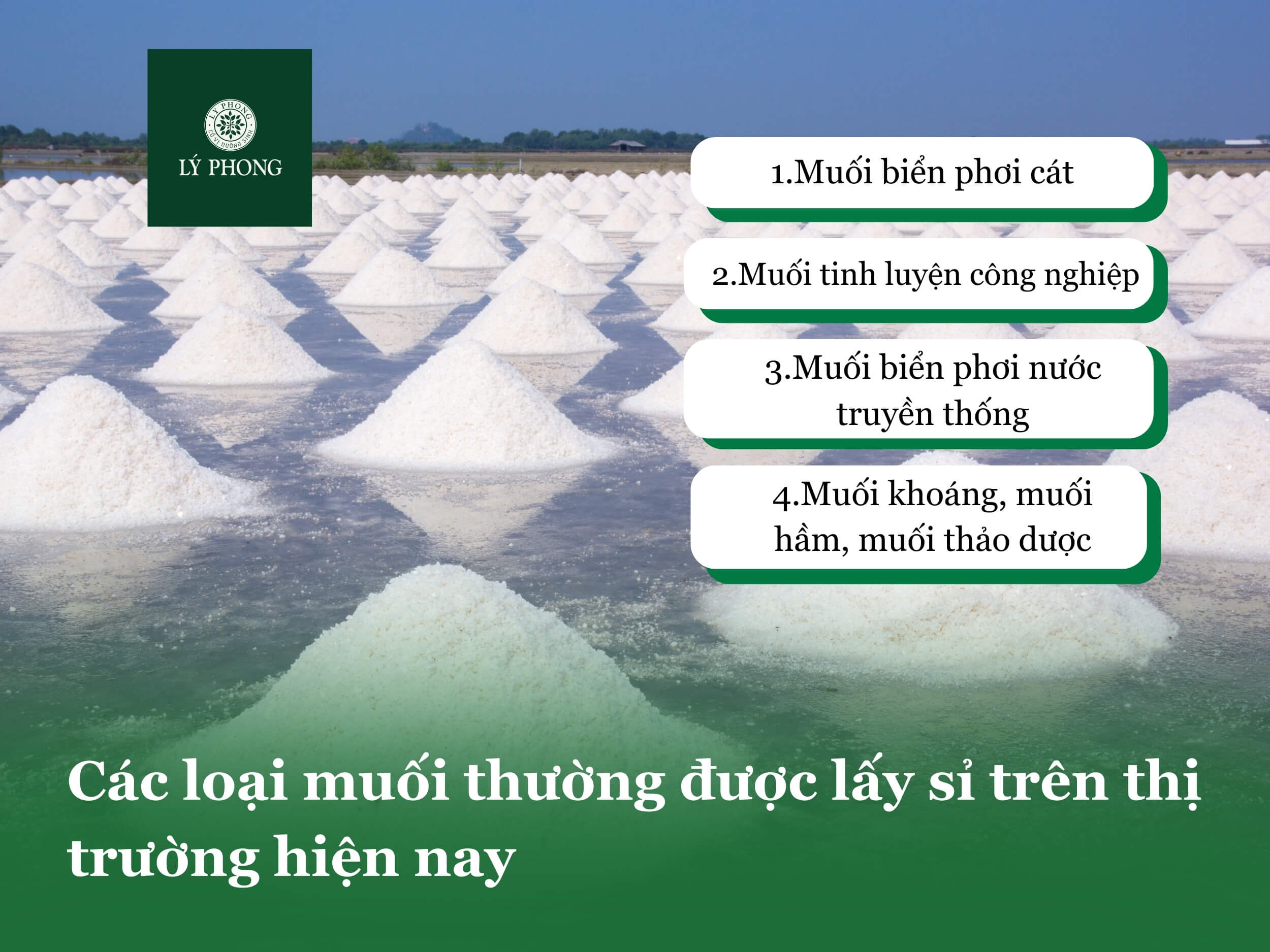 Các loại muối thường được lấy sỉ trên thị trường hiện nay