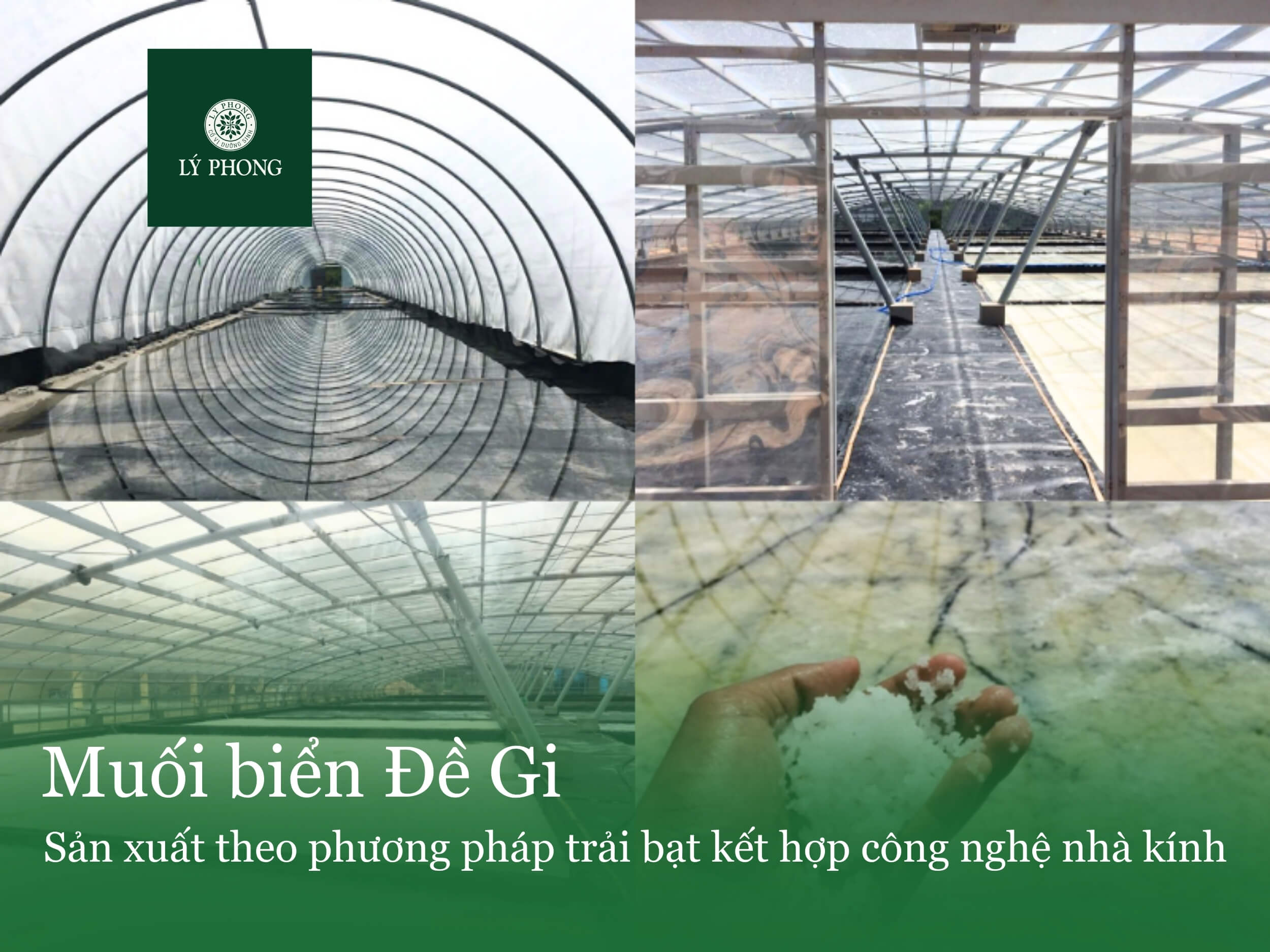 Phương pháp sản xuất cải tiến