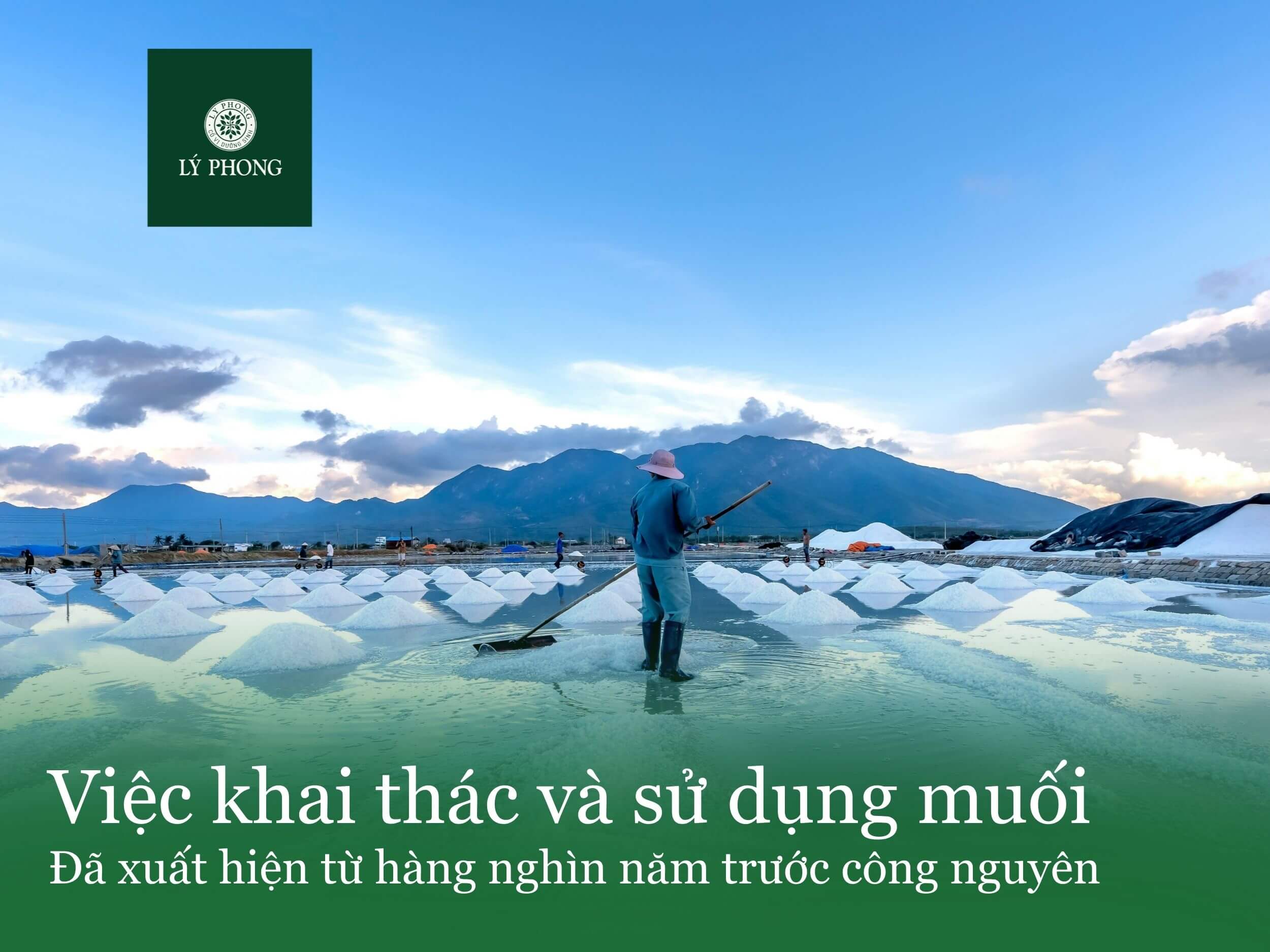 Lịch sử của nghề làm muối bắt đầu từ khi nào?