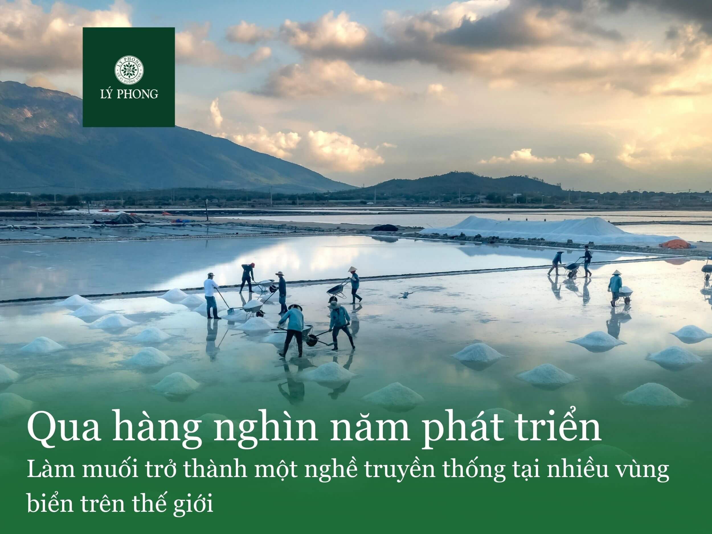 Hành trình của nghề làm muối