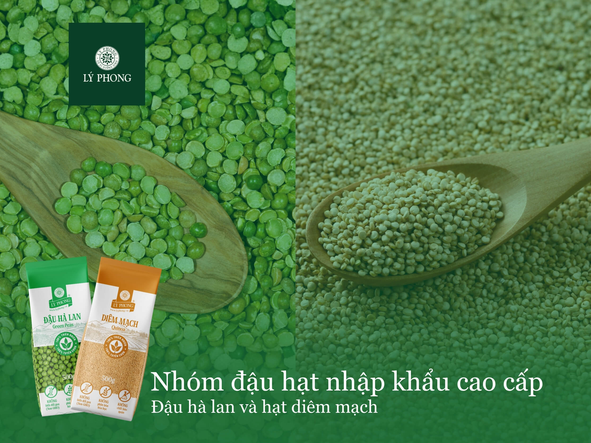 Nhóm hạt nhập khẩu và cao cấp của Lý Phong