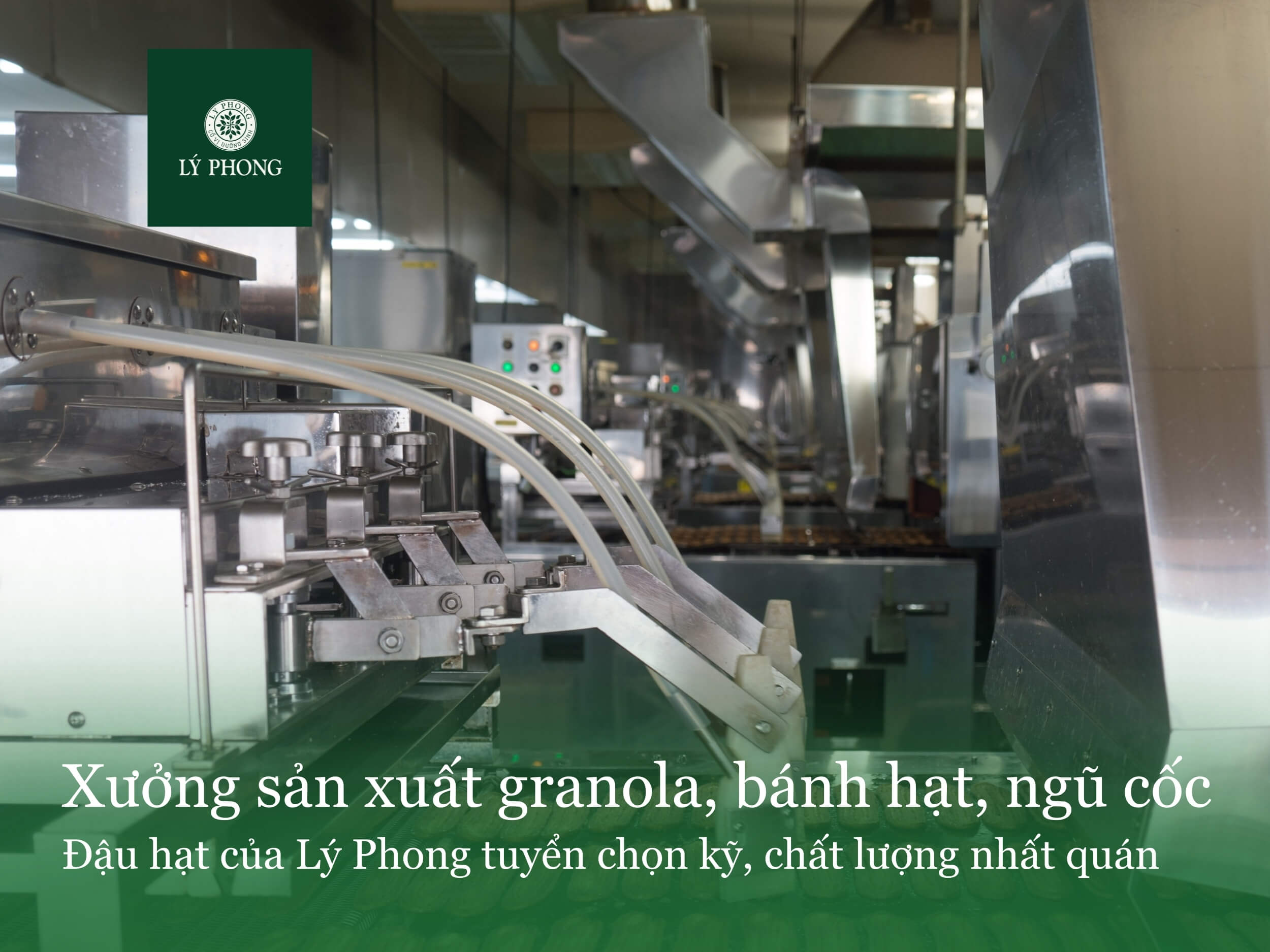 Xưởng sản xuất granola, bánh hạt, ngũ cốc