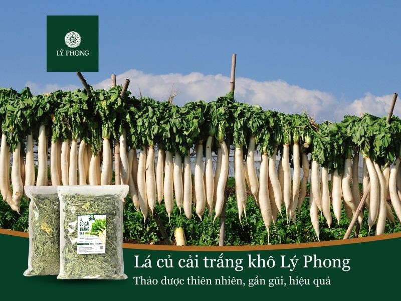 Lá củ cải trắng khô Lý Phong 