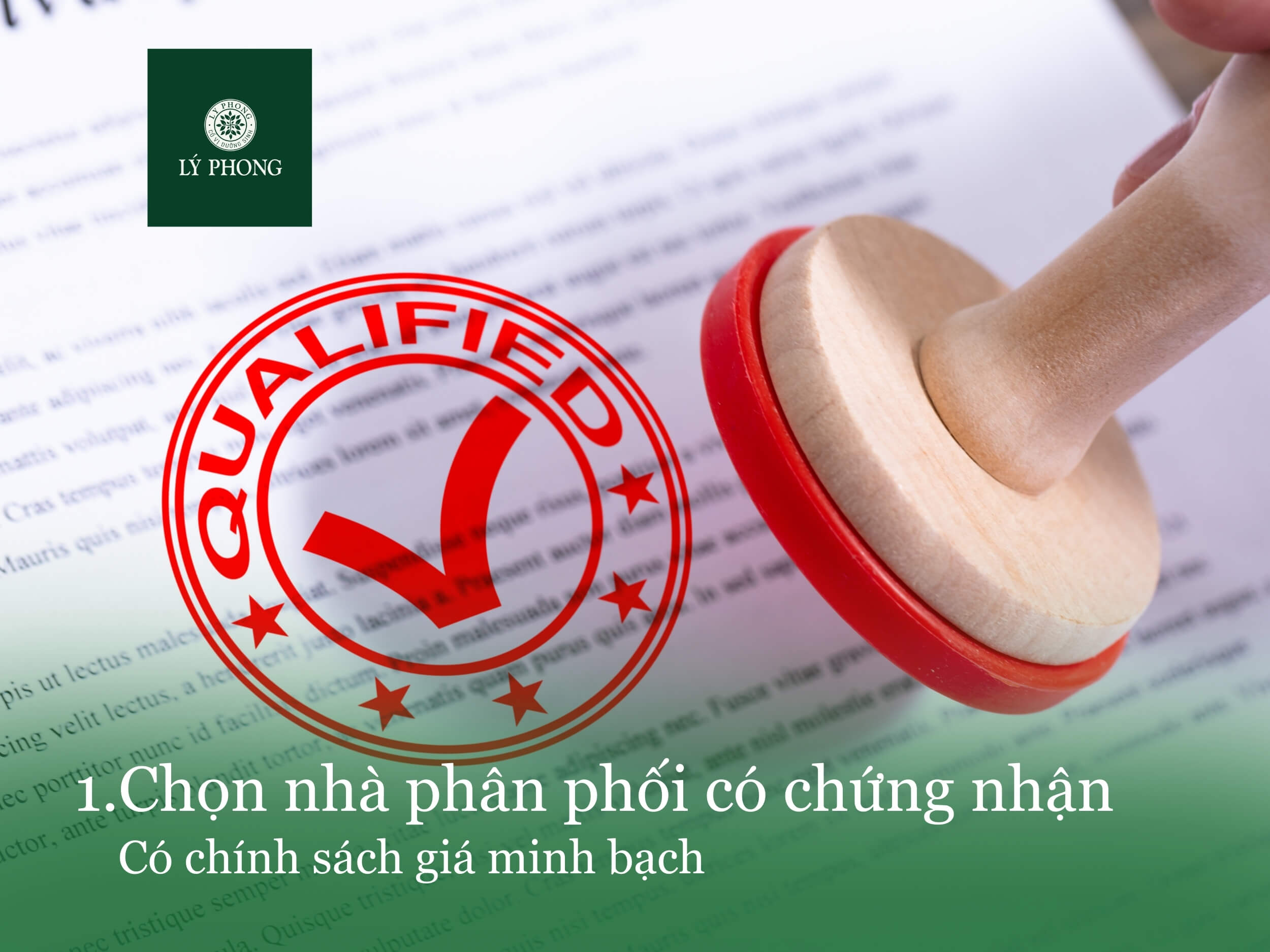 Chọn nhà phân phối có chứng nhận và chính sách rõ ràng