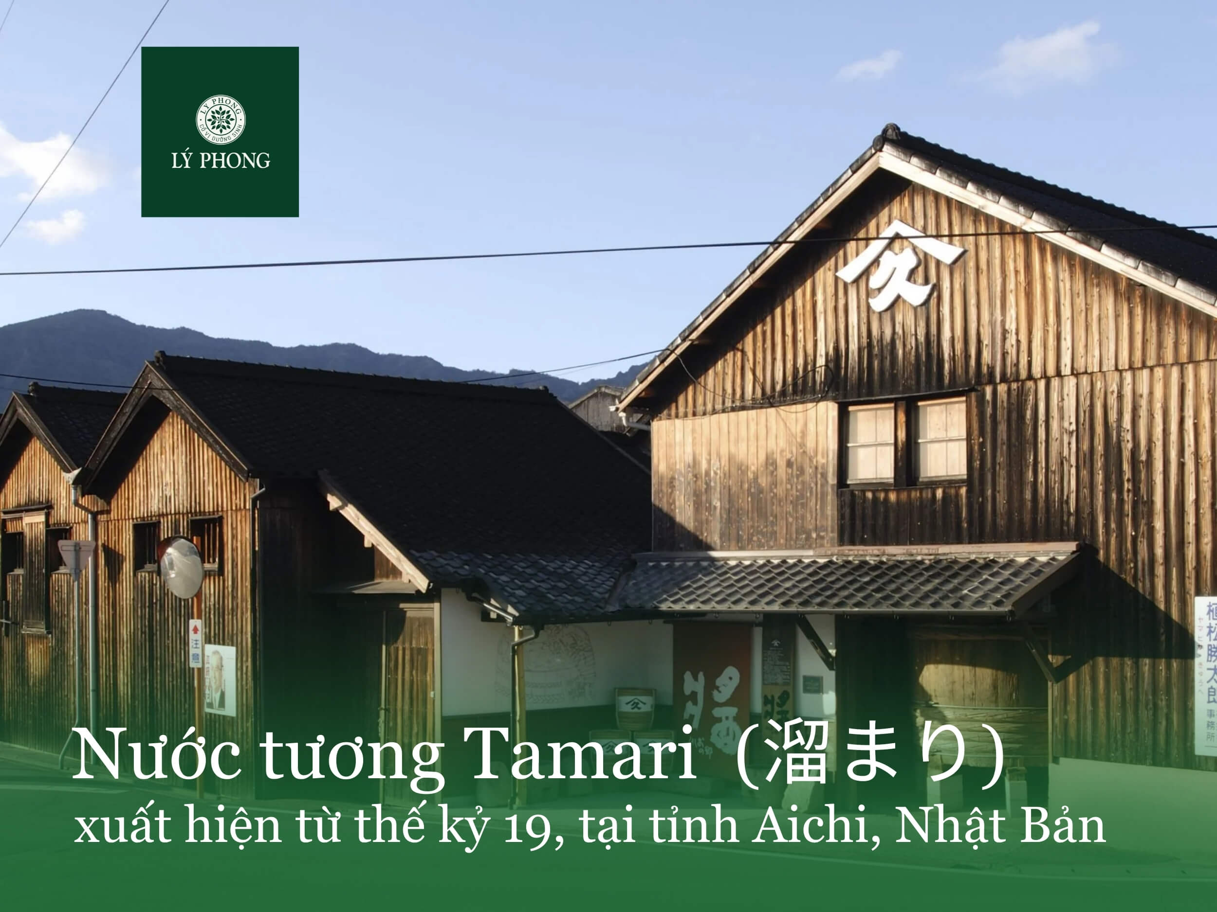 Nước tương Tamari xuất hiện từ thế kỷ 19 tại Nhật Bản