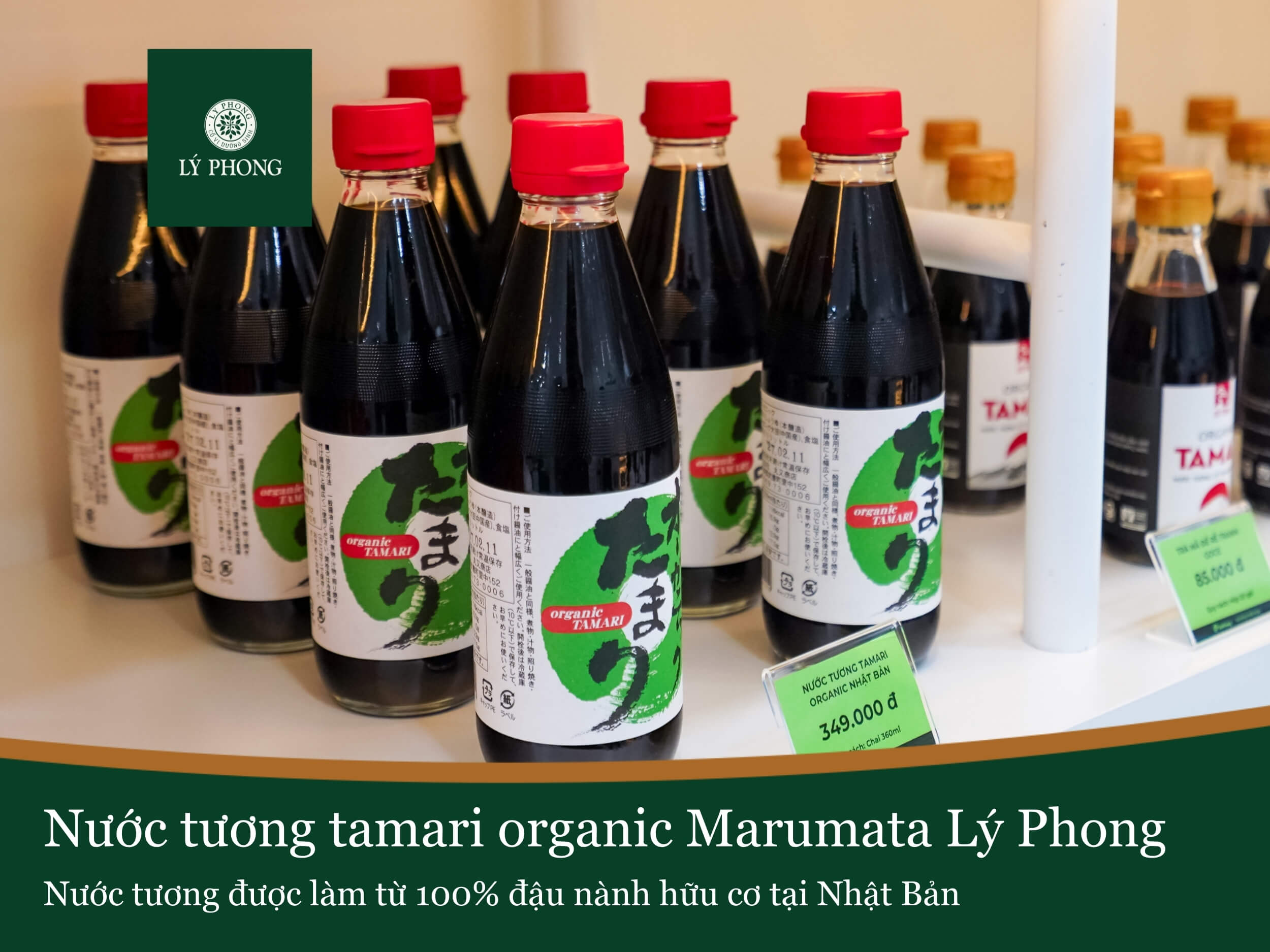Lý Phong - Nhà cung cấp nước tương tamari chuẩn Nhật Bản
