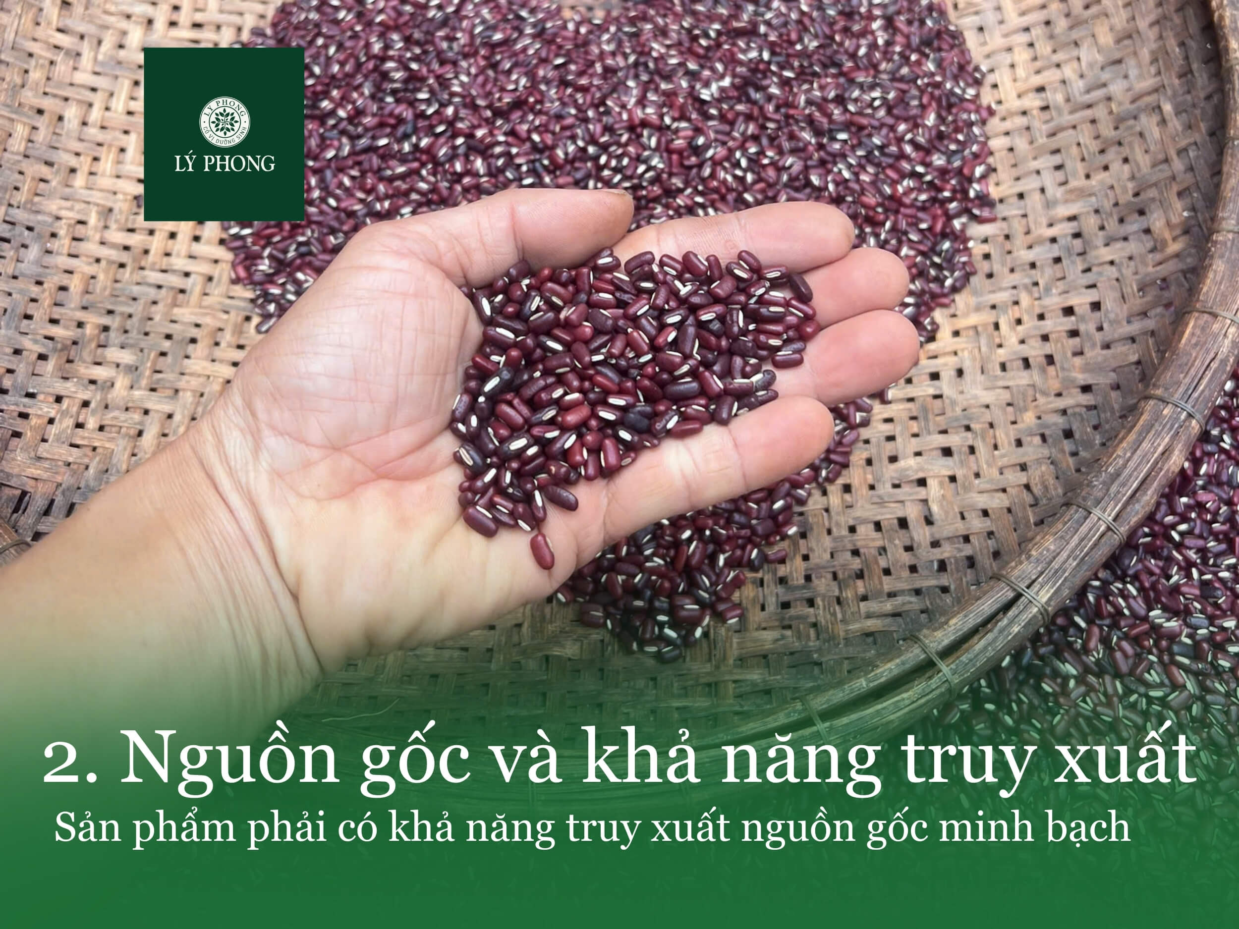 Nguồn gốc và khả năng truy xuất