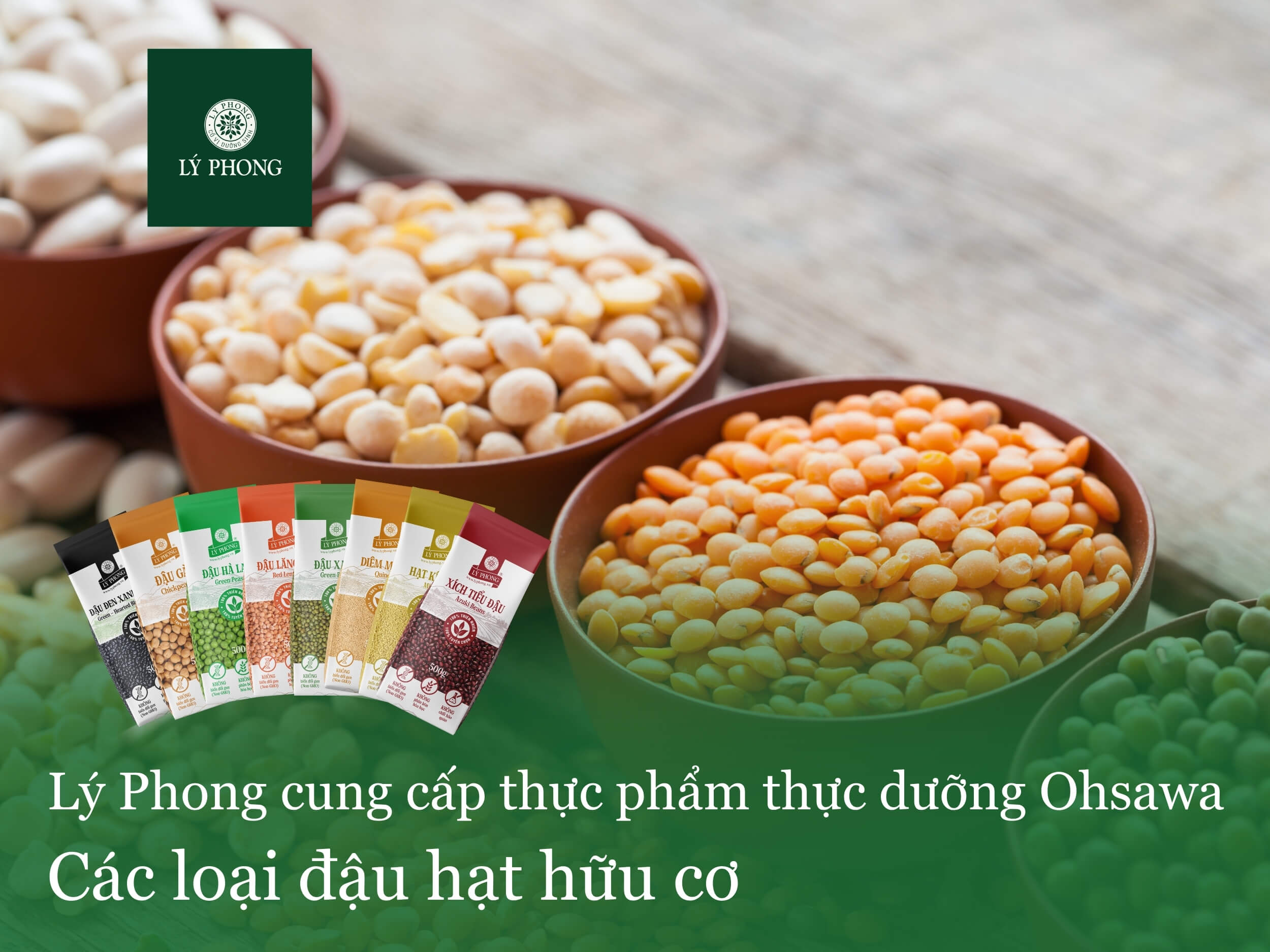 Lý Phong phân phối các loại đậu hạt hữu cơ