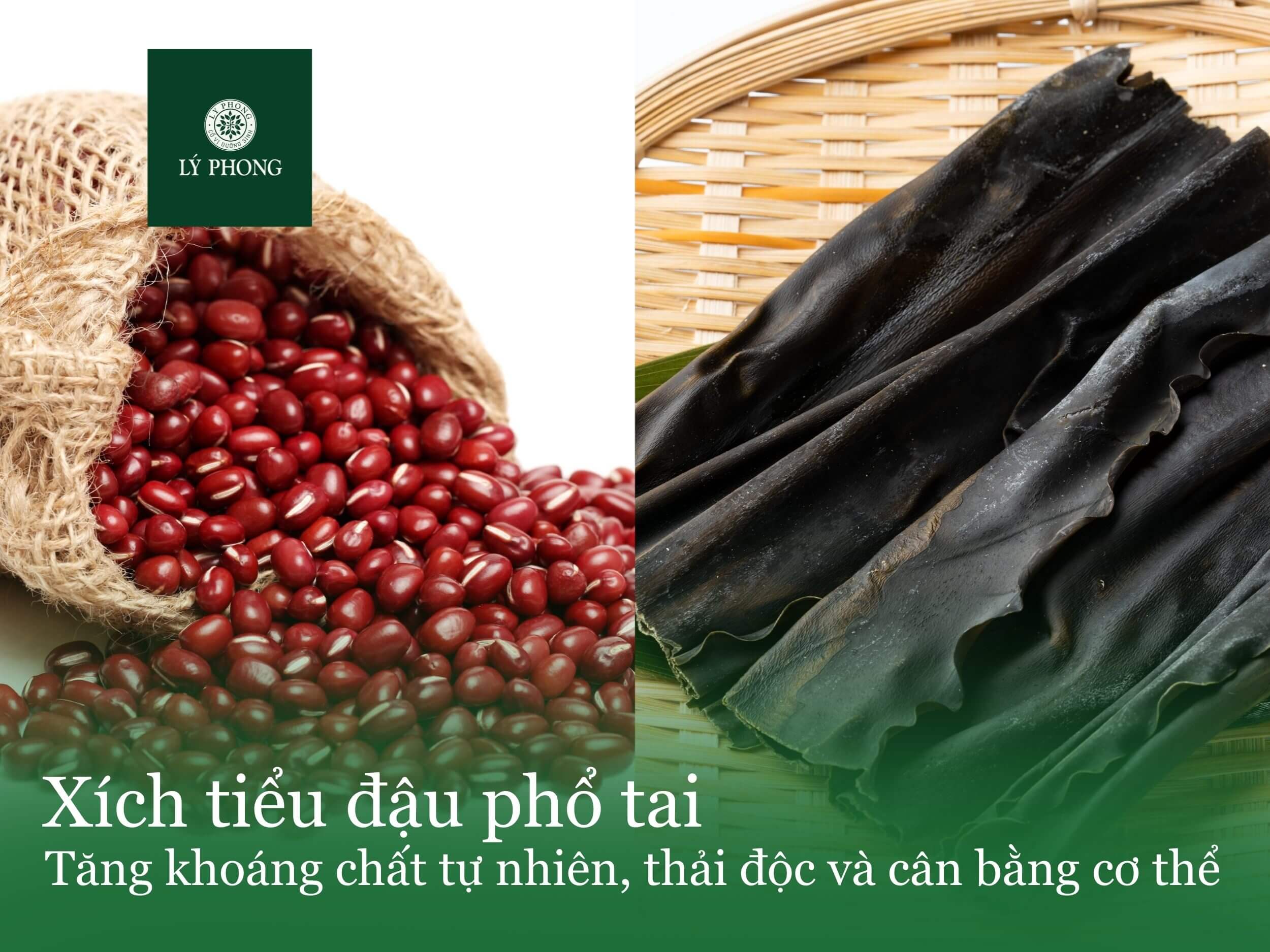 Xích tiểu đậu phổ tai