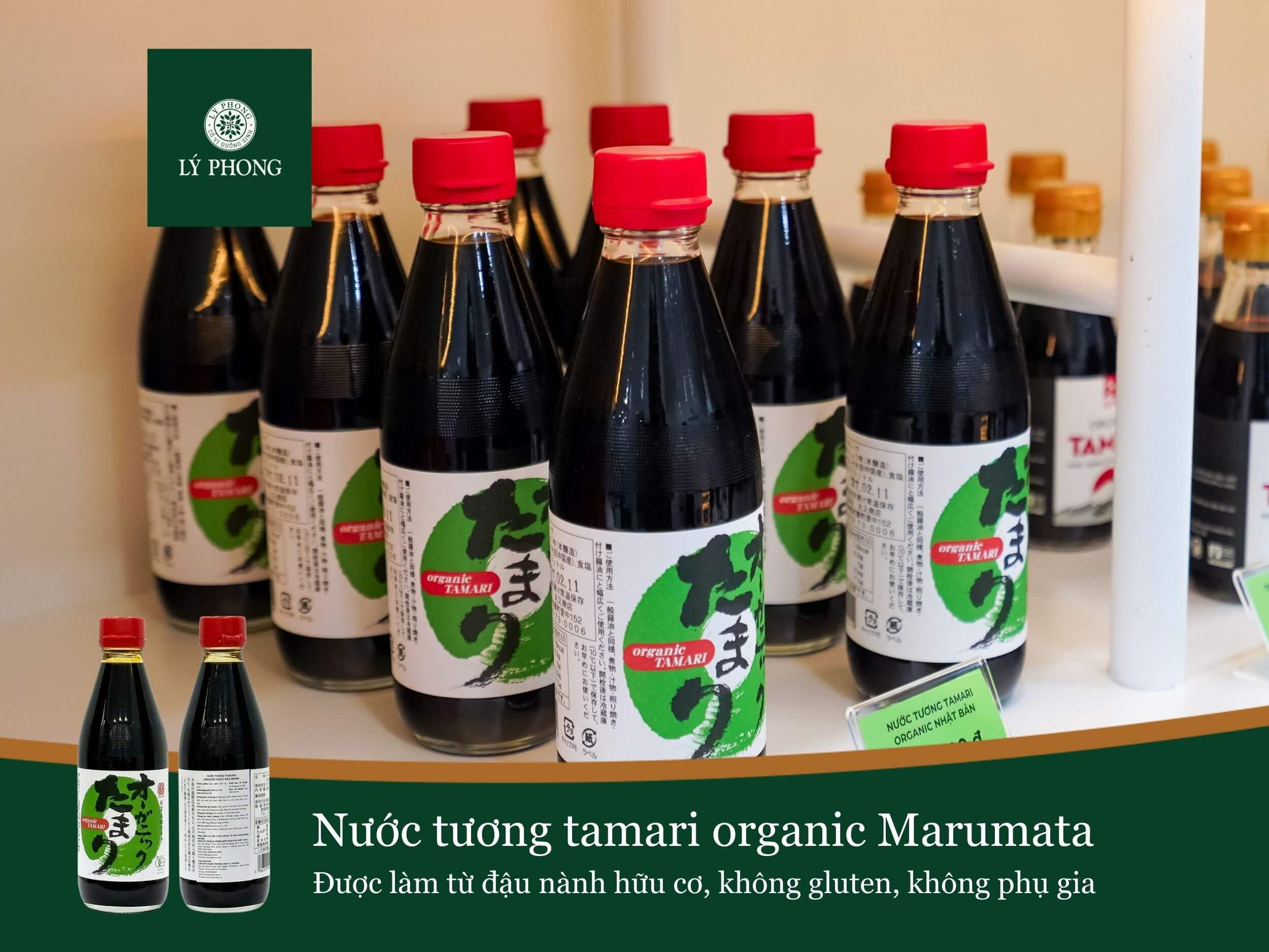 Lý Phong – Nguồn cung cấp tương tamari Nhật Bản chính hãng
