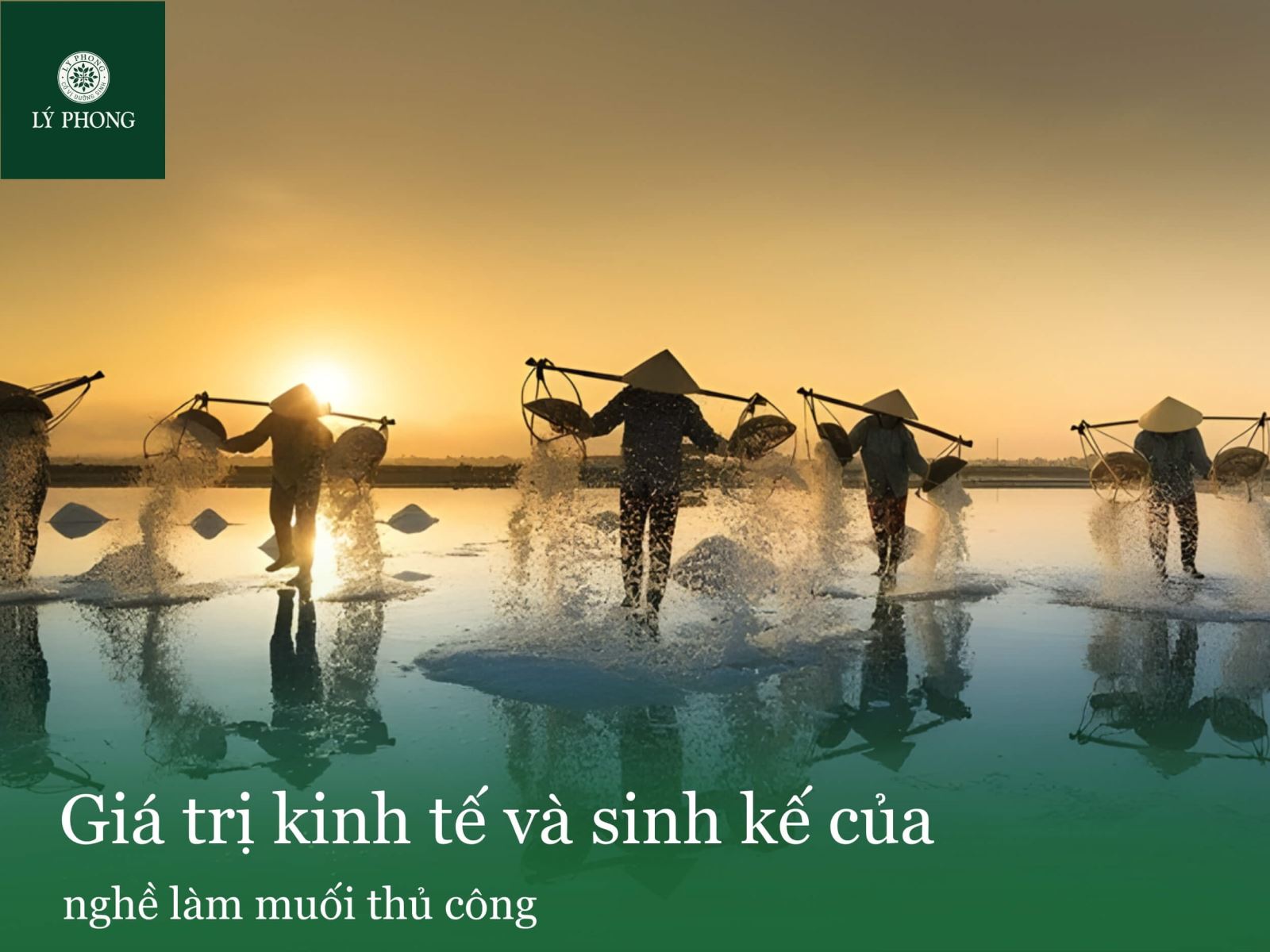 Giá trị kinh tế và sinh kế của nghề làm muối thủ công