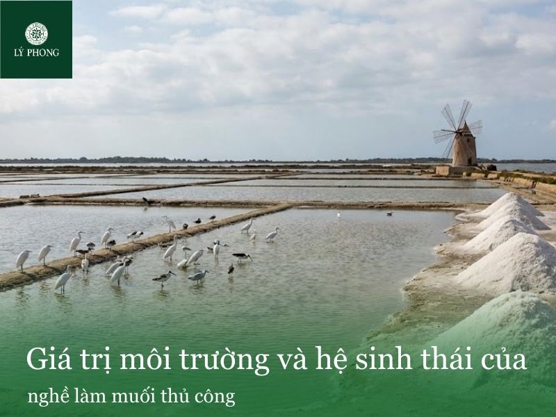 Giá trị môi trường và hệ sinh thái của làng nghề làm muối thủ công