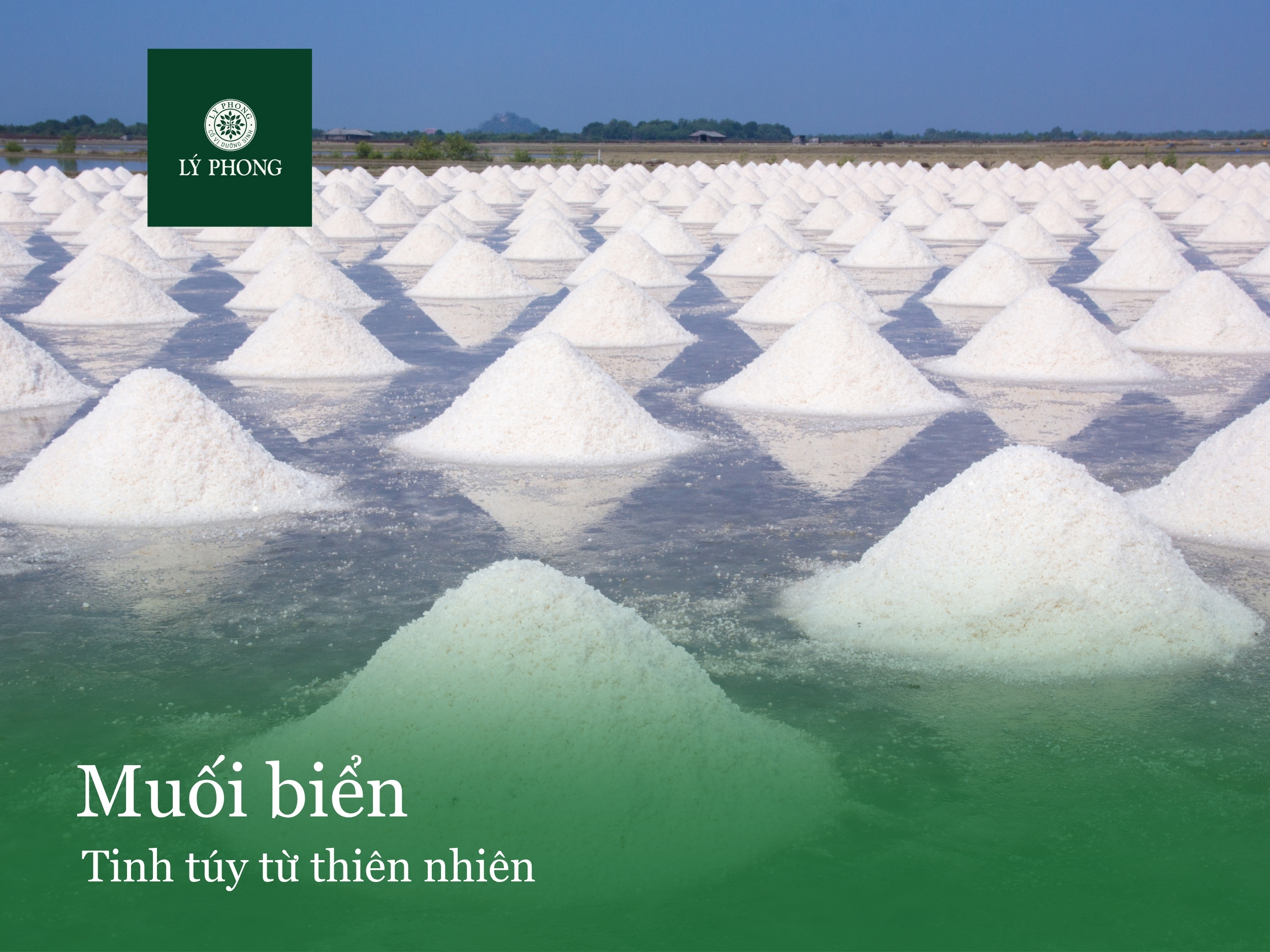 Muối biển thiên nhiên