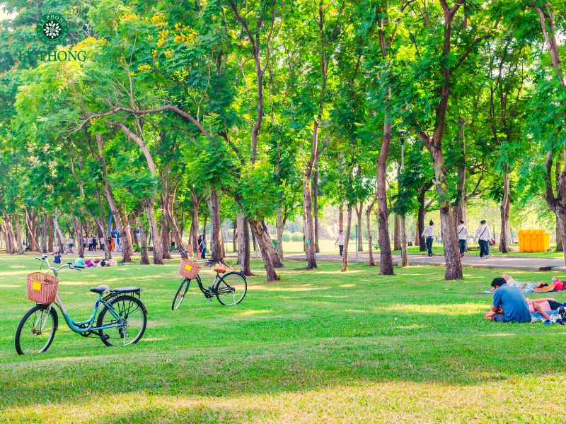 Kết nối bản thân với thiên nhiên