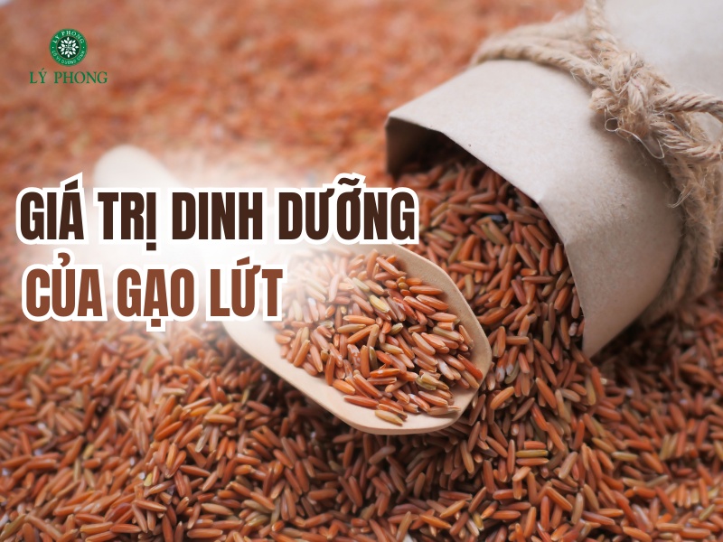 Hàm lượng dinh dưỡng của gạo lứt