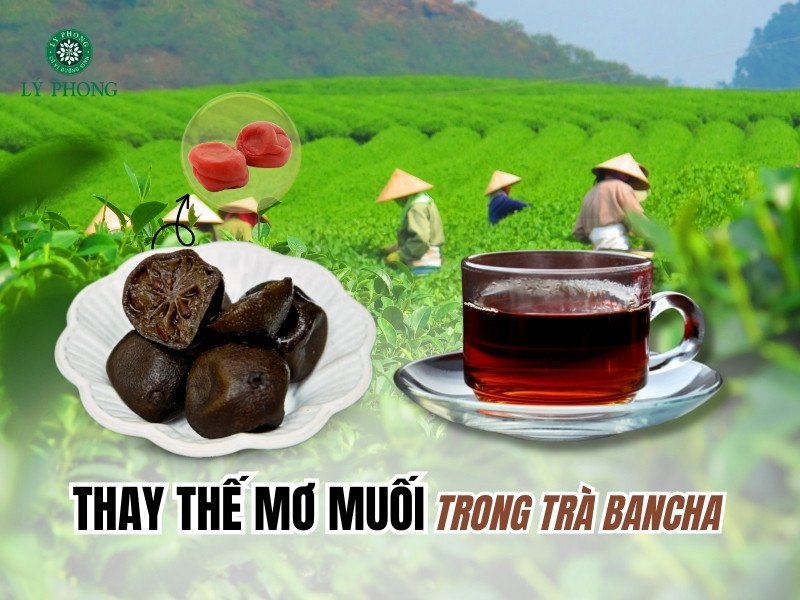 Chanh muối có thể thay thế mơ muối để nấu trà bancha